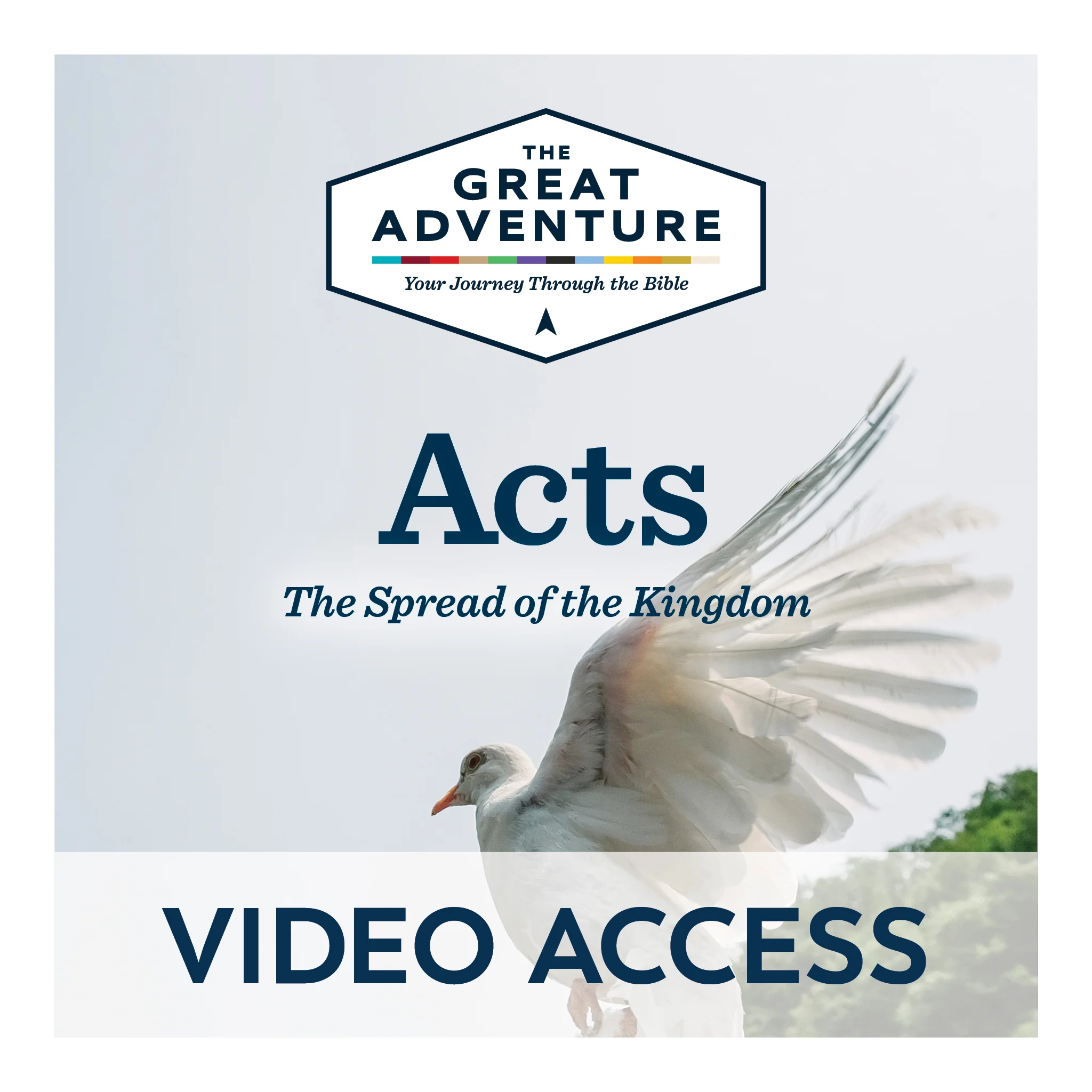 Acts: The Spread of the Kingdom Bible Online Access - Image 2