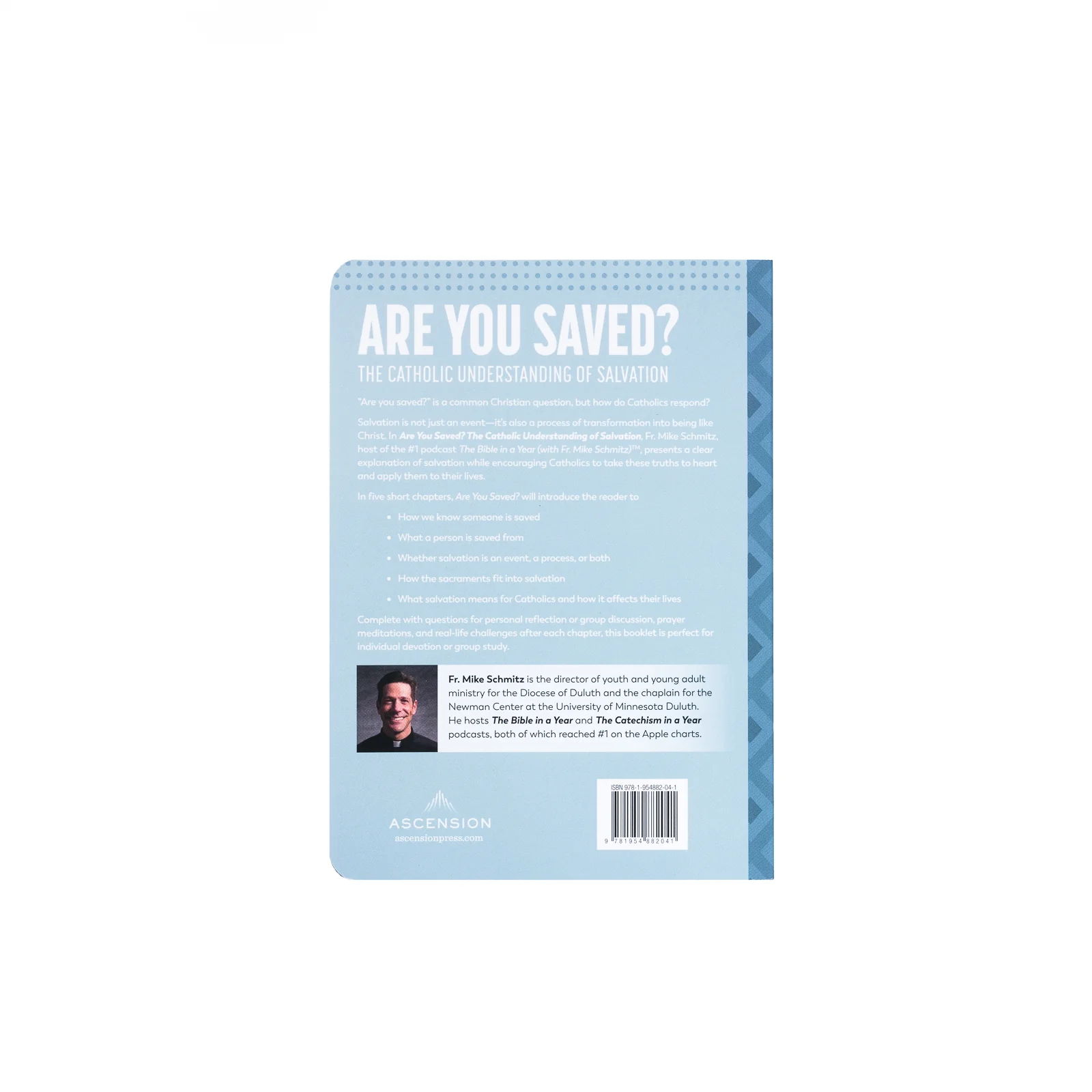 Are You Saved? The Catholic Understanding of Salvation - Image 3