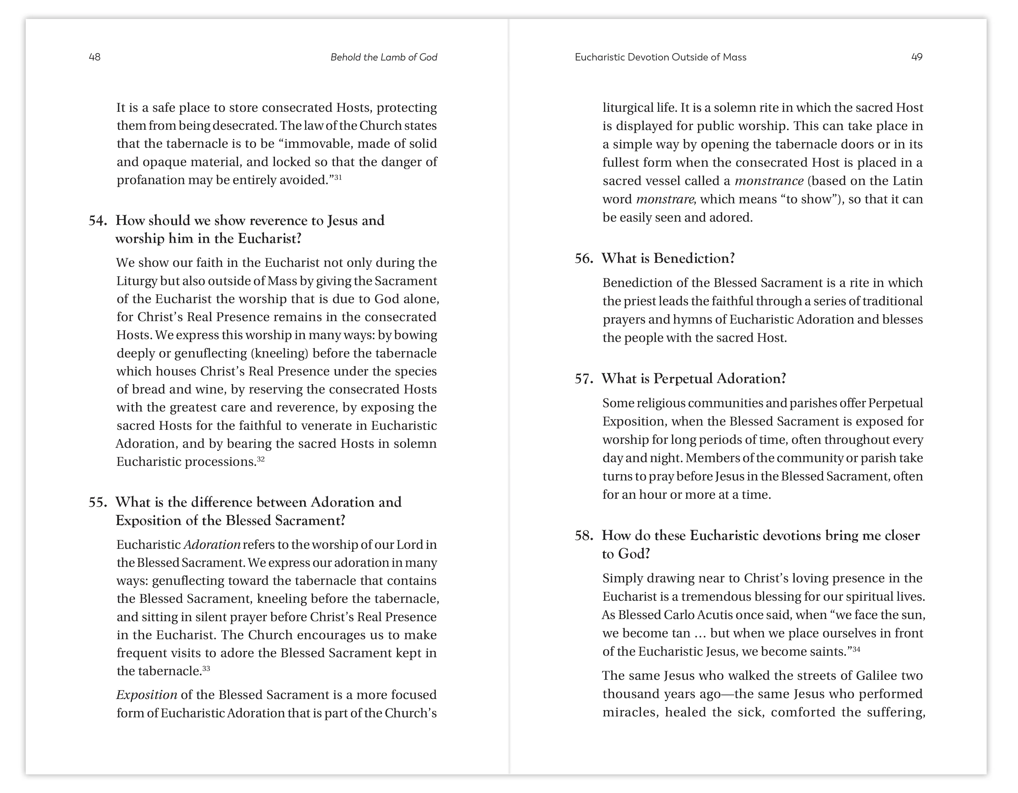 Behold the Lamb of God: 60 Questions and Answers on the Mystery of the Eucharist - Image 4
