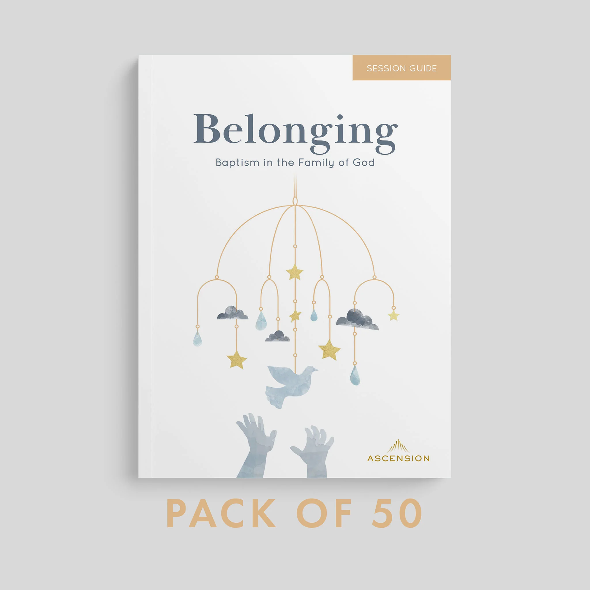 Belonging: Baptism in the Family of God, Session Guide - Image 16