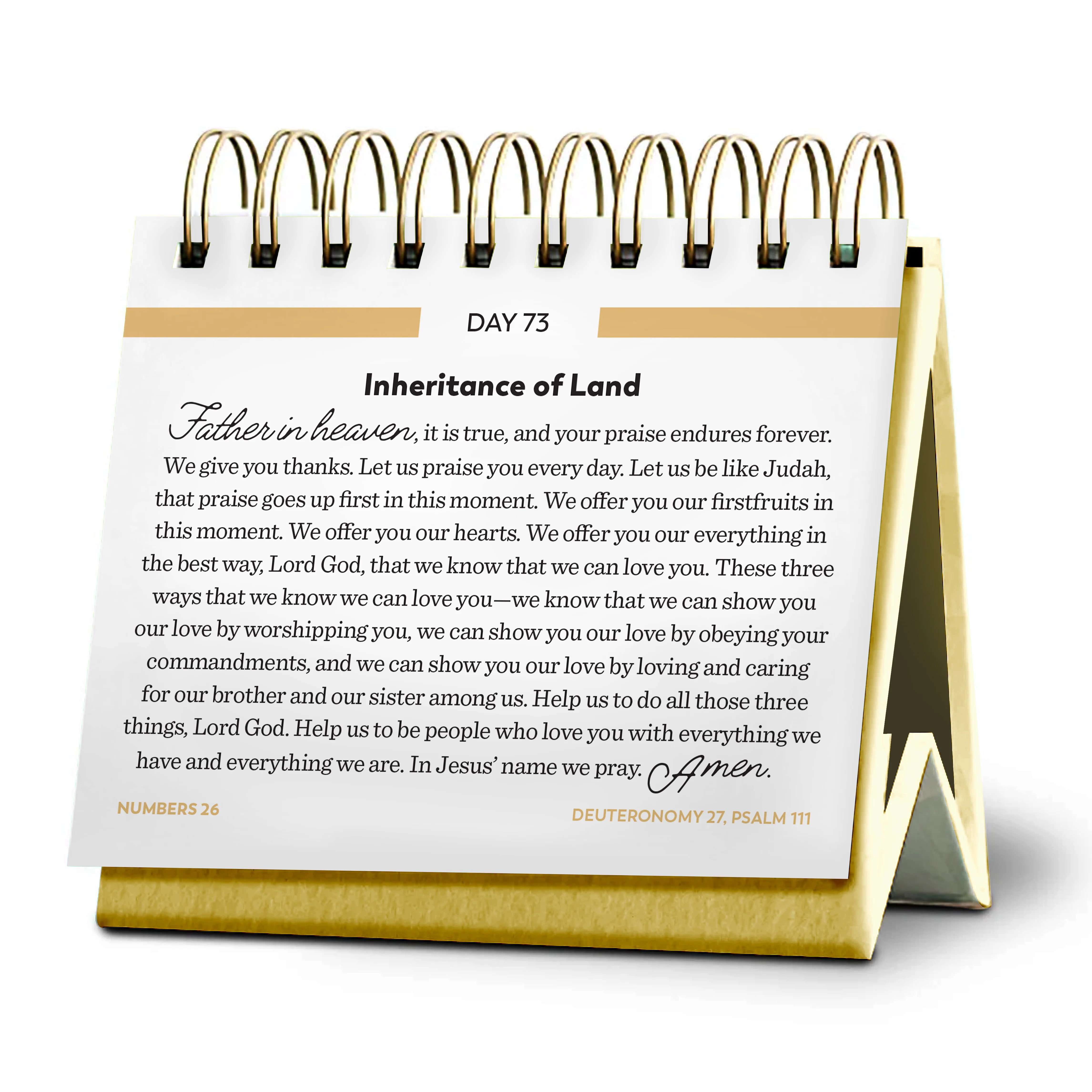 Bible in a Year Perpetual Daily Calendar - Image 6