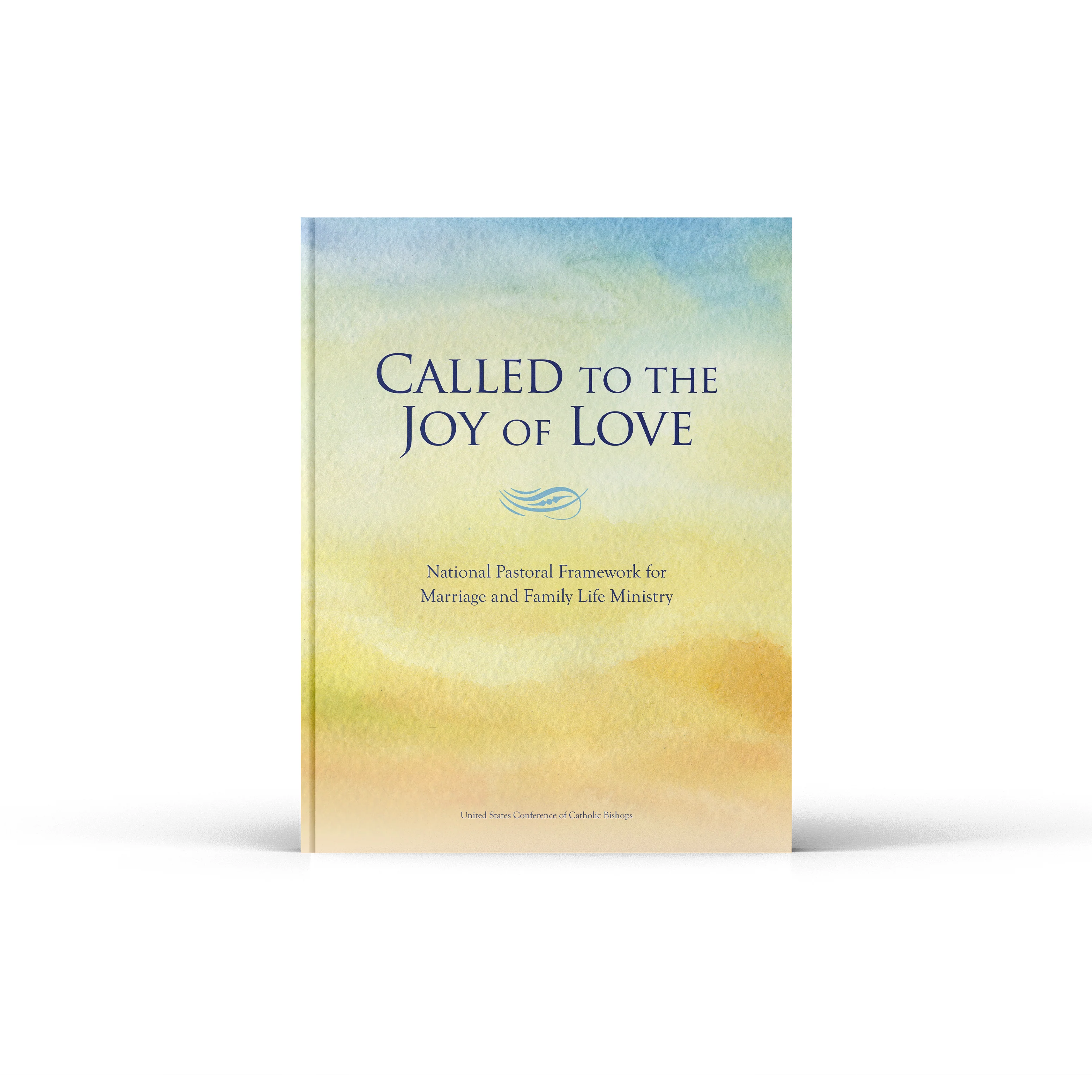 Called to the Joy of Love: A National Pastoral Framework for Marriage and Family Life Ministry - Image 10