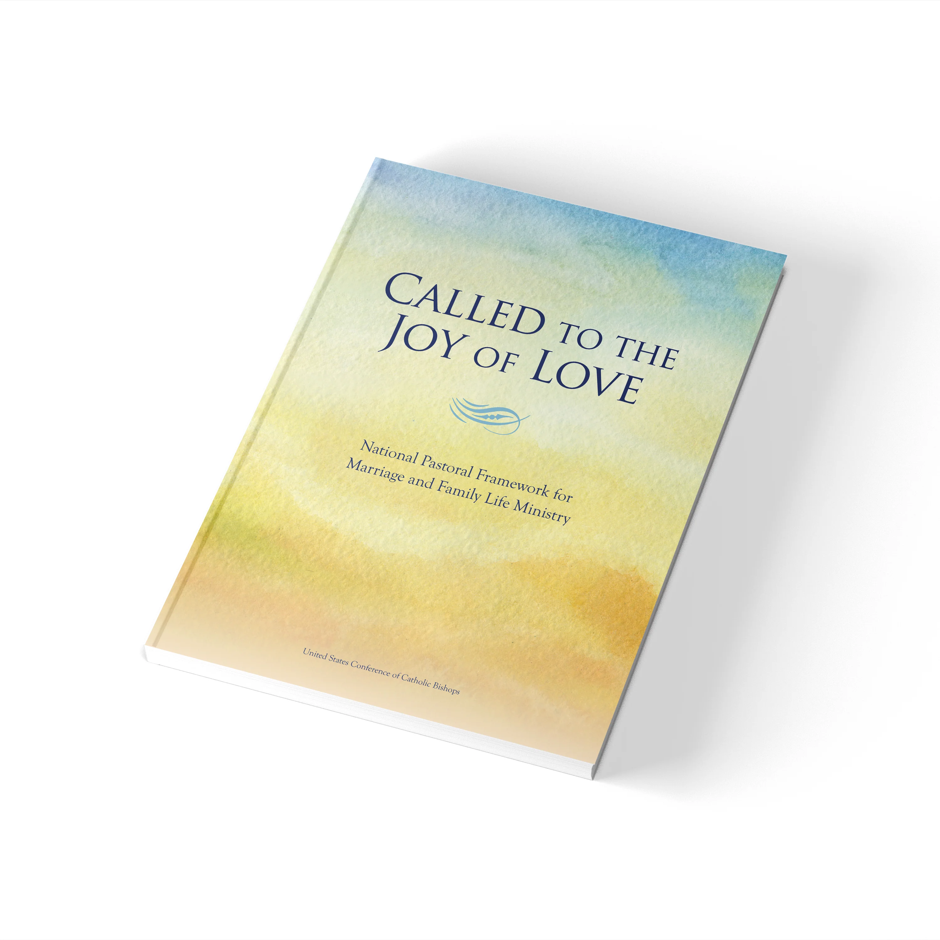 Called to the Joy of Love: A National Pastoral Framework for Marriage and Family Life Ministry - Image 11