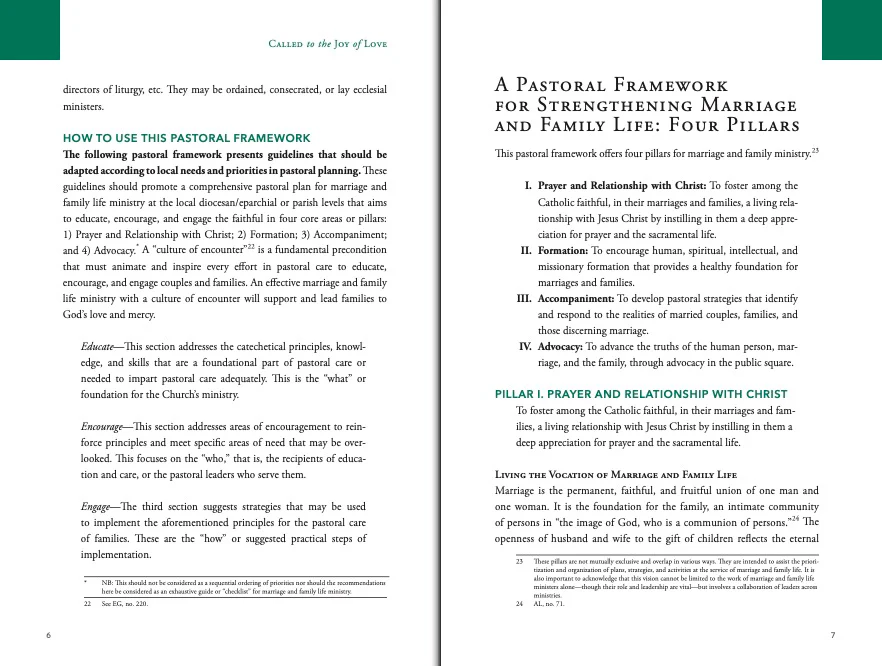 Called to the Joy of Love: A National Pastoral Framework for Marriage and Family Life Ministry - Image 3