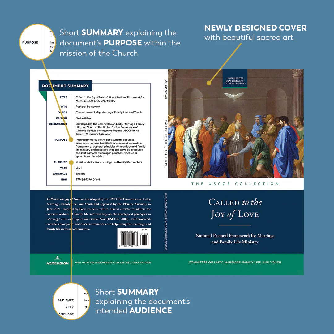 Called to the Joy of Love: A National Pastoral Framework for Marriage and Family Life Ministry - Image 4