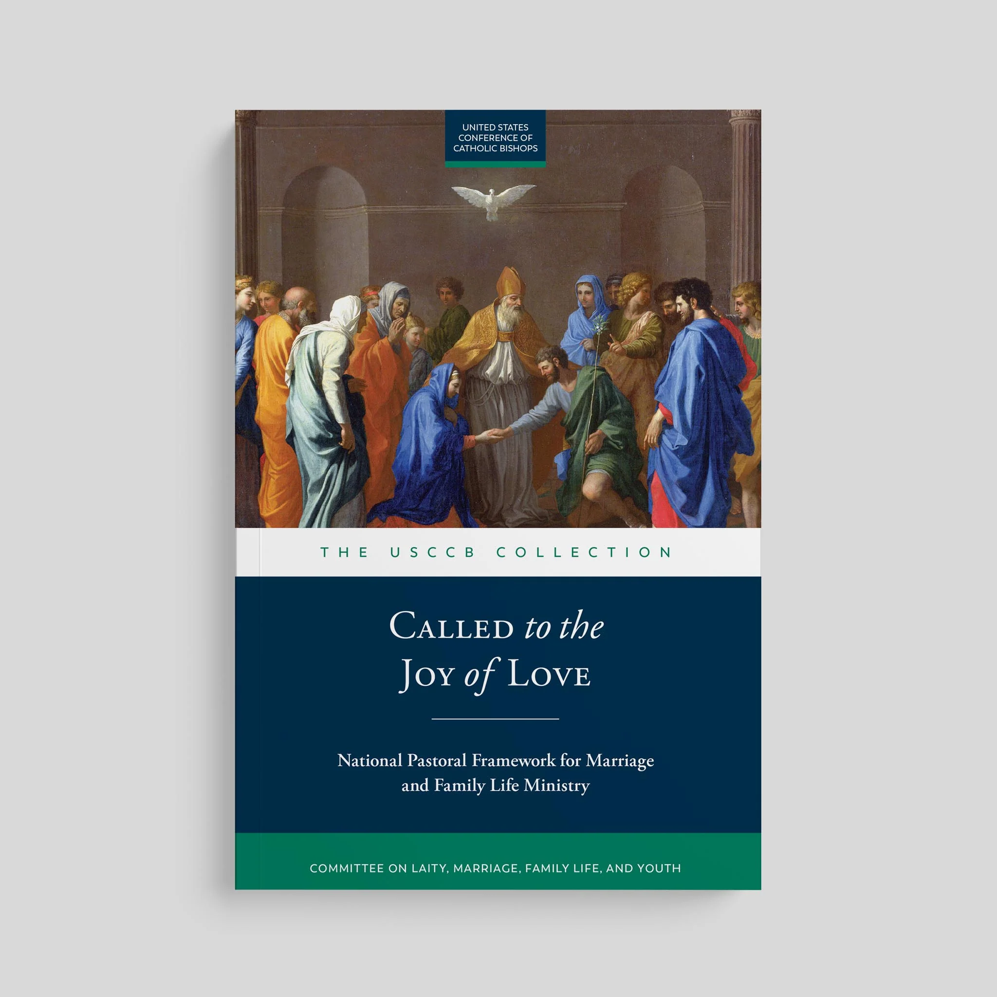 Called to the Joy of Love: A National Pastoral Framework for Marriage and Family Life Ministry - Image 9