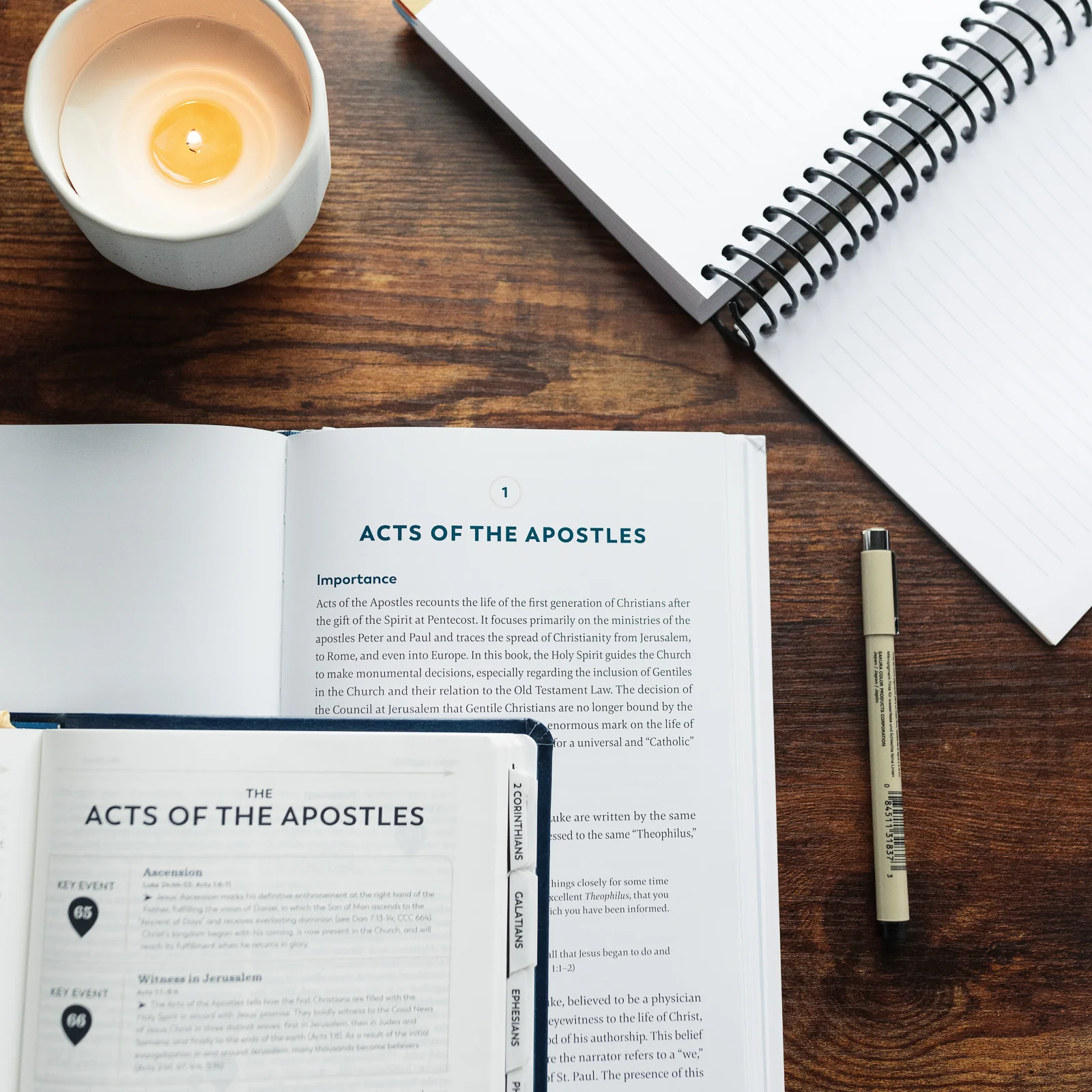 A Catholic Guide to the New Testament - Image 12