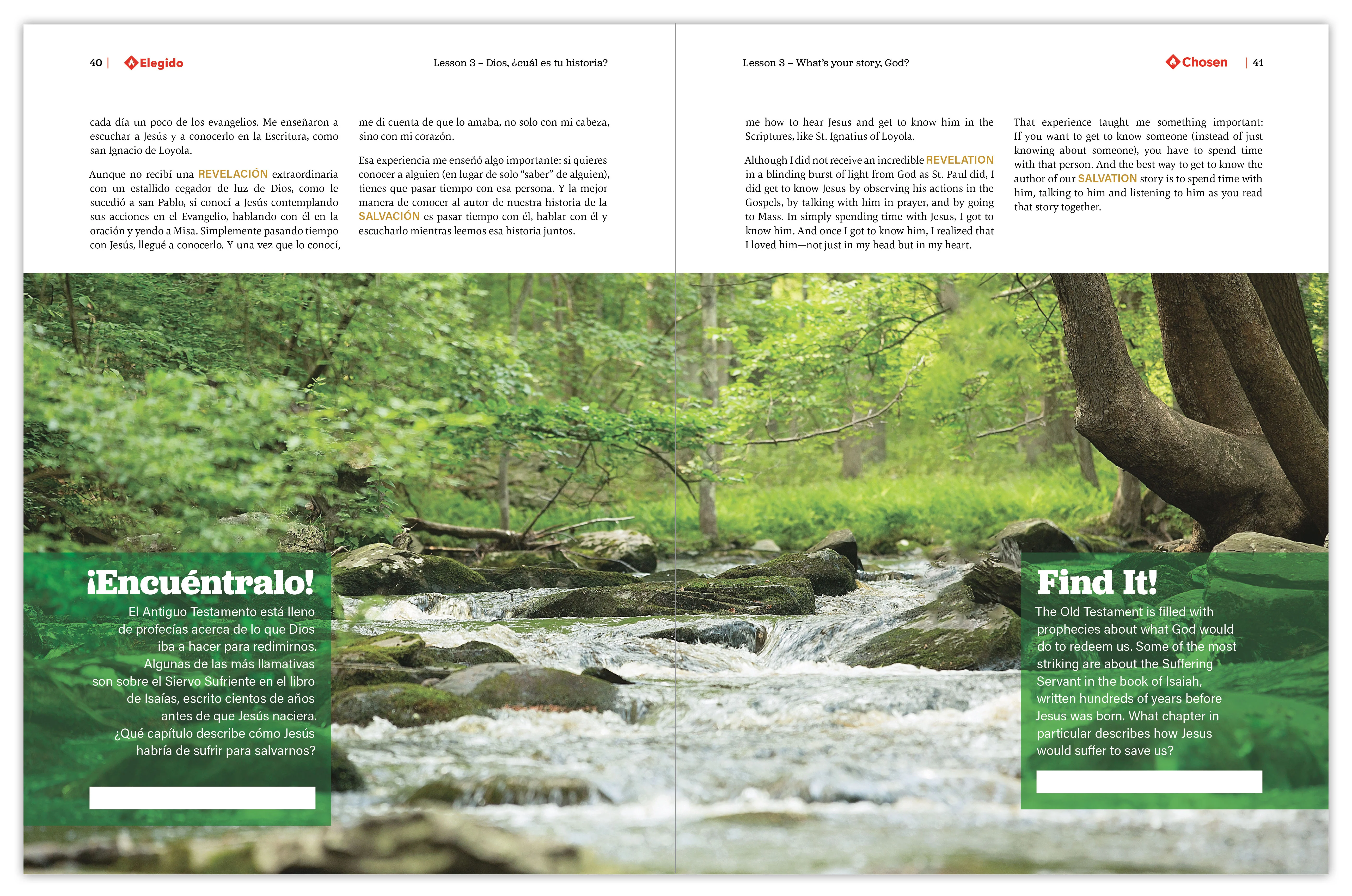 Chosen: Your Journey to Confirmation, Student Workbook (Includes Online Course Access) - Image 13