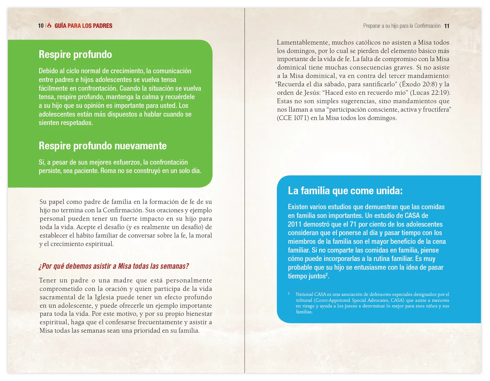 Elegido: tu camino hacia la Confirmación - Guía de los padres - Image 3