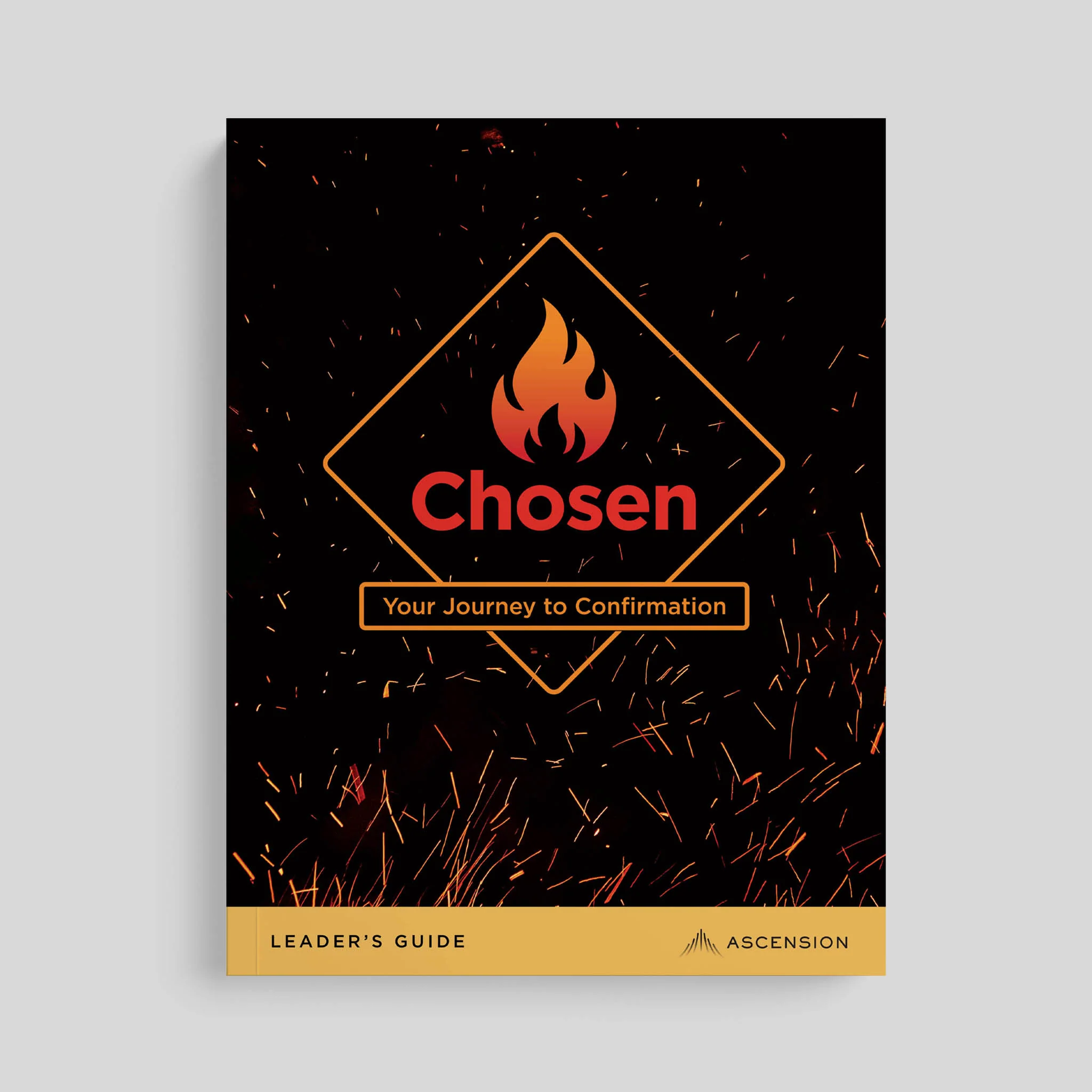 Chosen: Your Journey to Confirmation, Leader's Guide