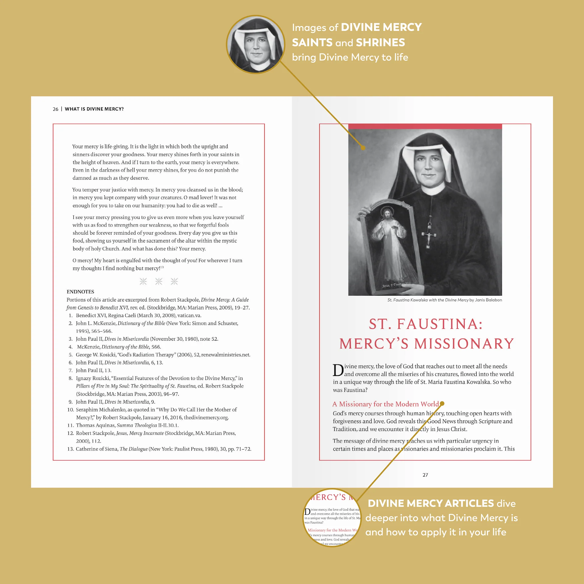 Divine Mercy Catholic Bible - Image 6
