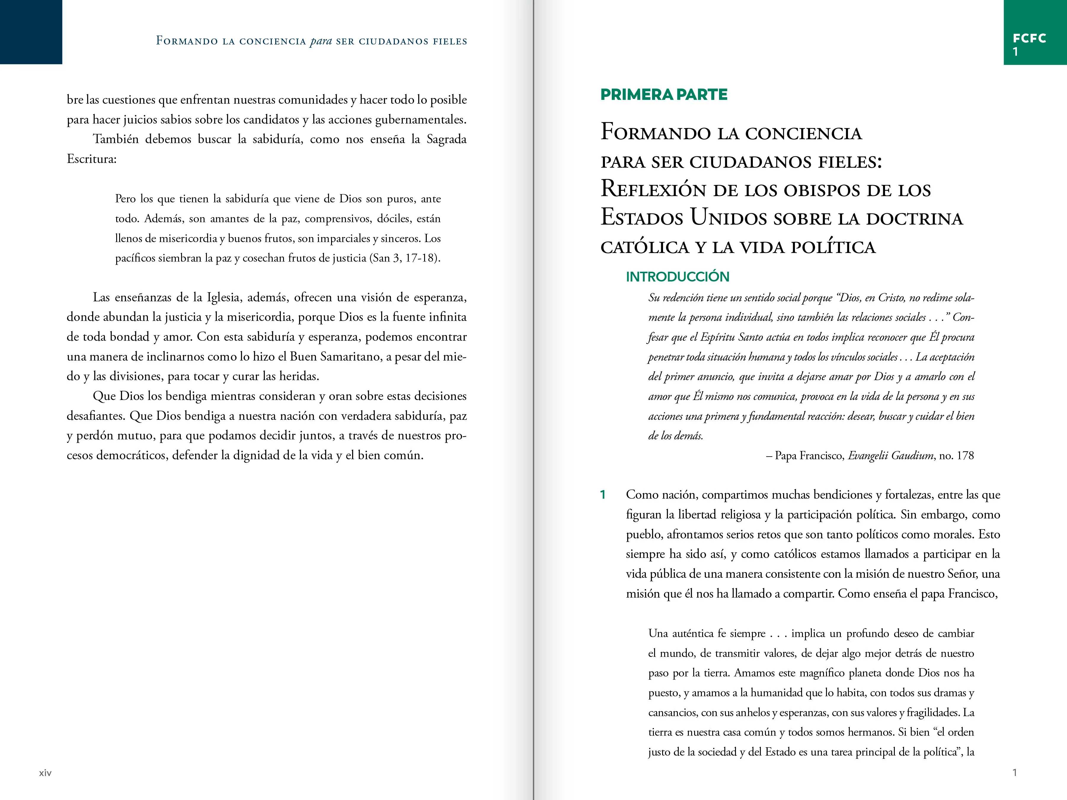 Forming Consciences for Faithful Citizenship: A Call to Political Responsibility - Image 13