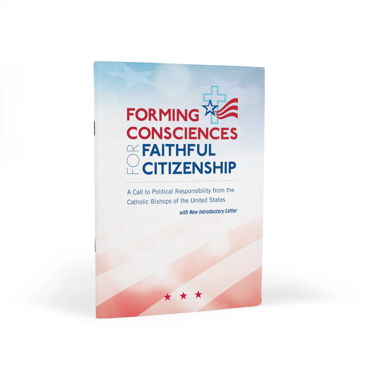 Forming Consciences for Faithful Citizenship: A Call to Political Responsibility - Image 14