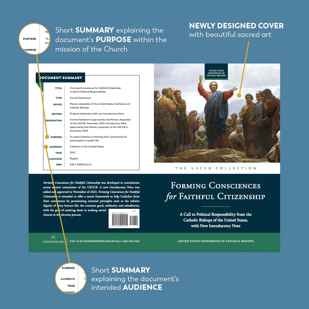 Forming Consciences for Faithful Citizenship: A Call to Political Responsibility - Image 6