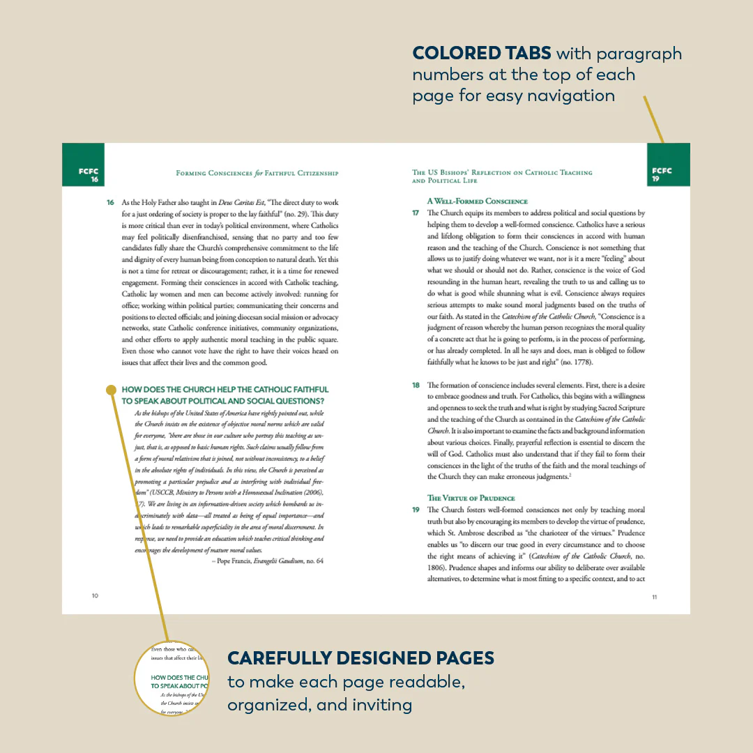 Forming Consciences for Faithful Citizenship: A Call to Political Responsibility - Image 7