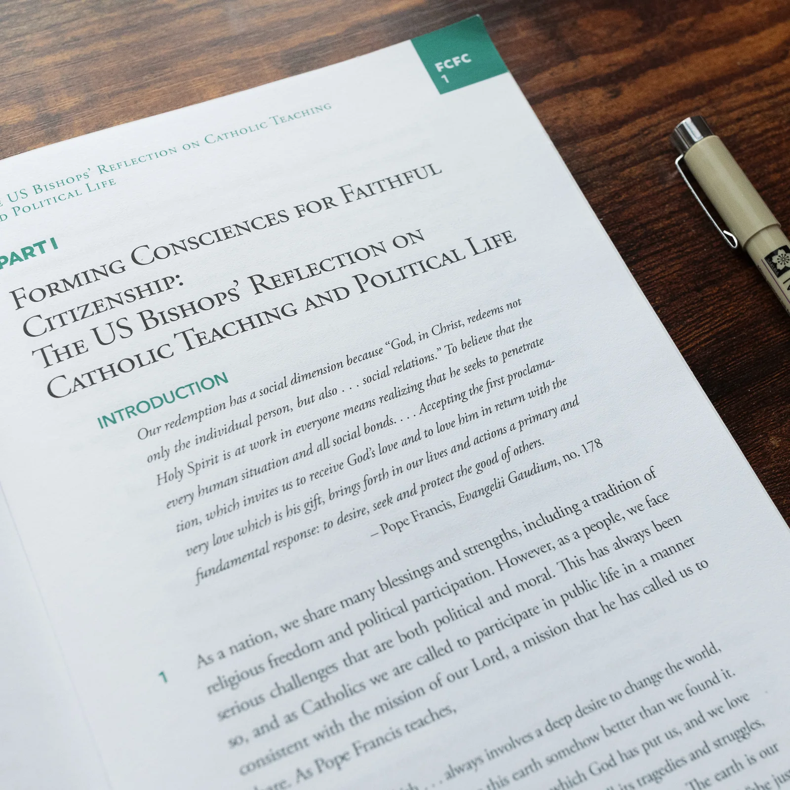 Forming Consciences for Faithful Citizenship: A Call to Political Responsibility - Image 9