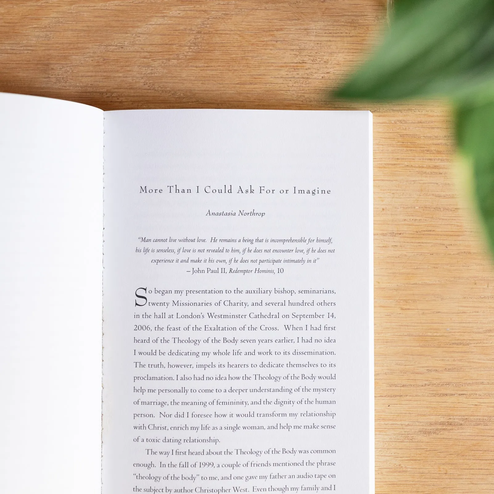 Freedom: 12 Lives Transformed by the Theology of the Body - Image 5