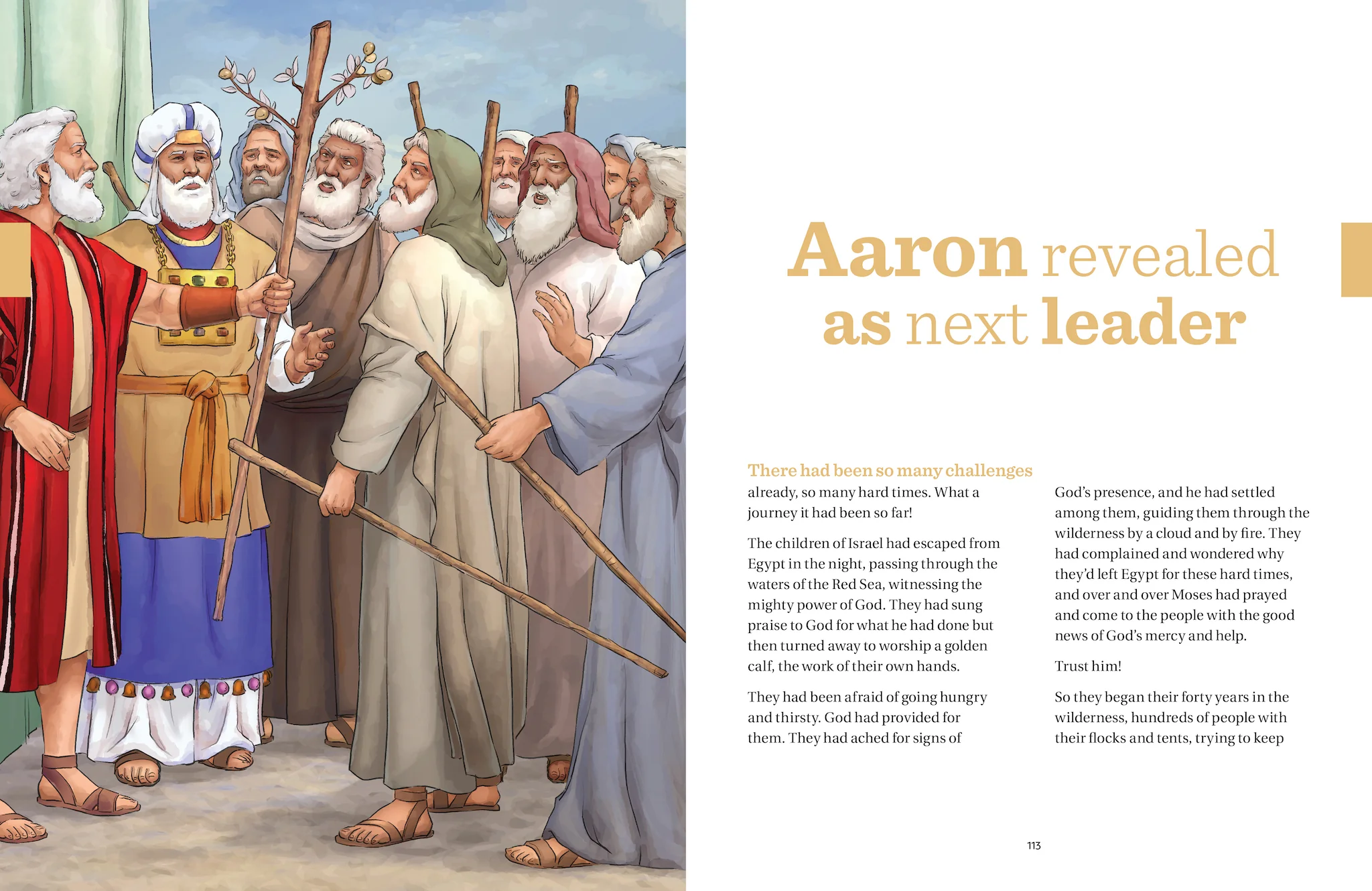 The Great Adventure Kids Catholic Bible Chronicles (Ages 8-12) - Image 6