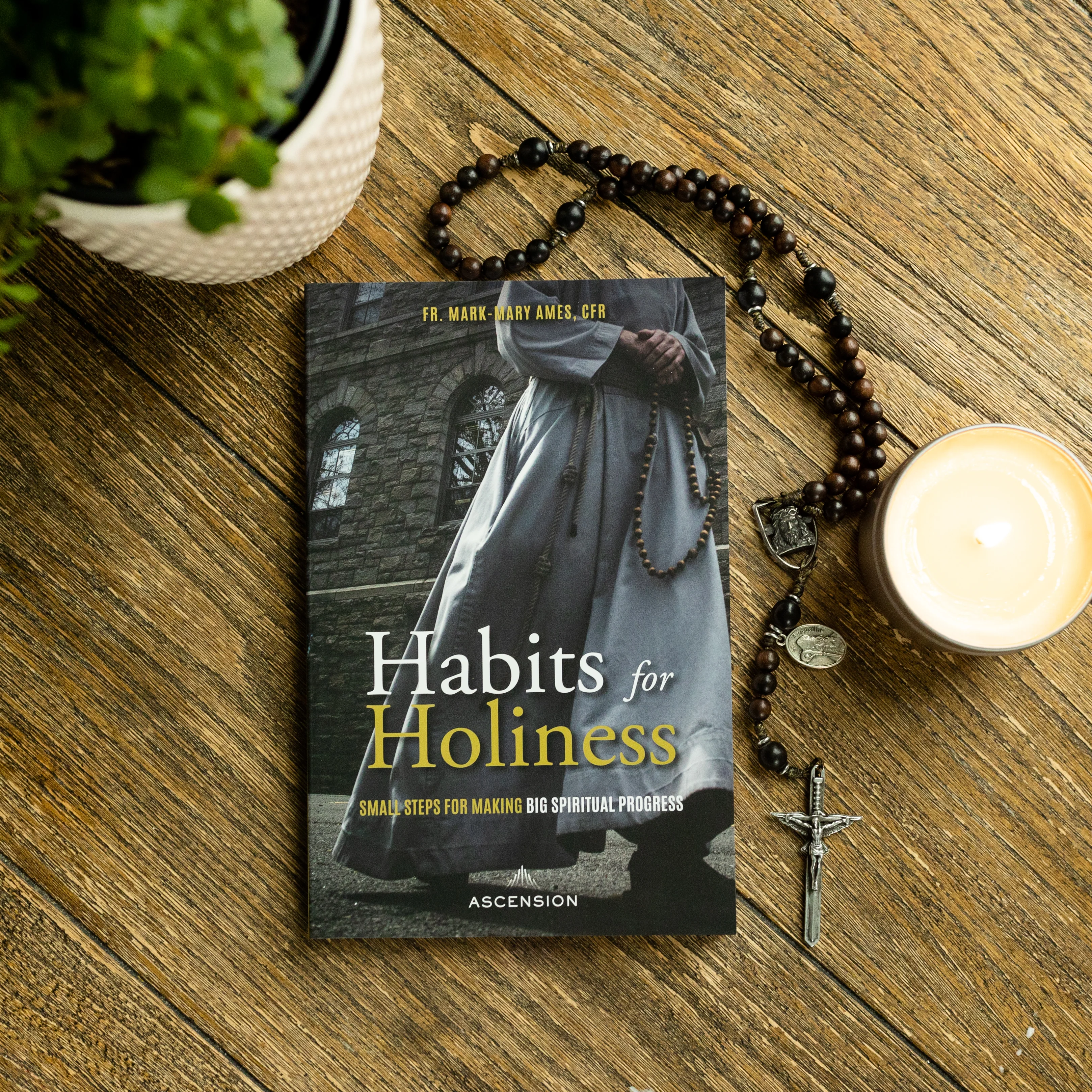 Habits for Holiness: Small Steps for Making Big Spiritual Progress - Image 9