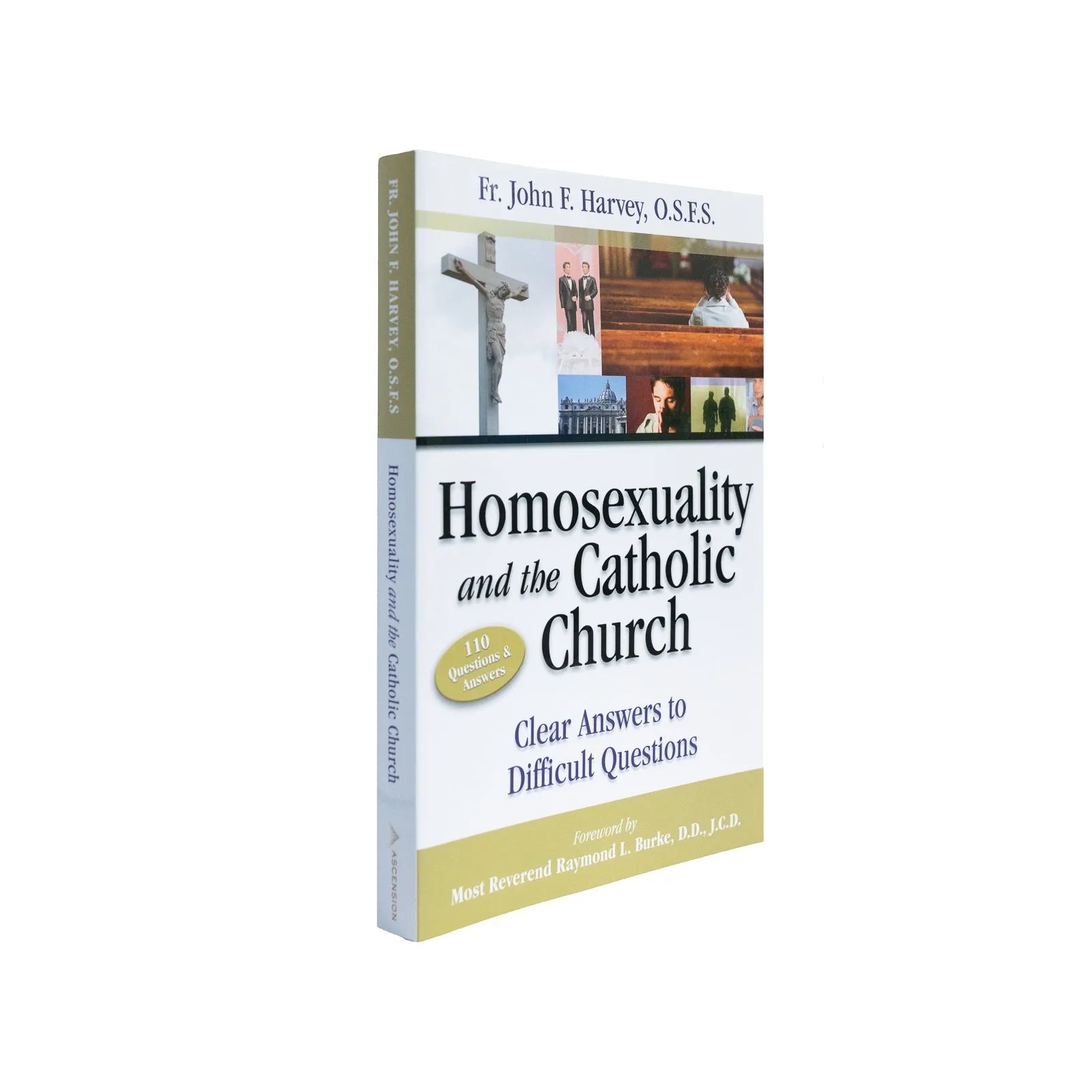 Homosexuality and the Catholic Church - Image 2