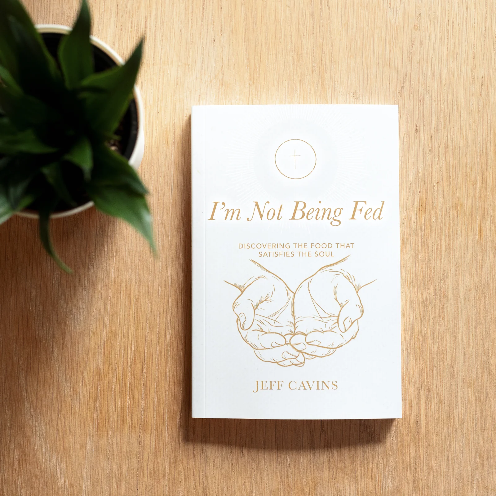 I'm Not Being Fed: Discovering the Food that Satisfies the Soul, 2nd Edition - Image 7