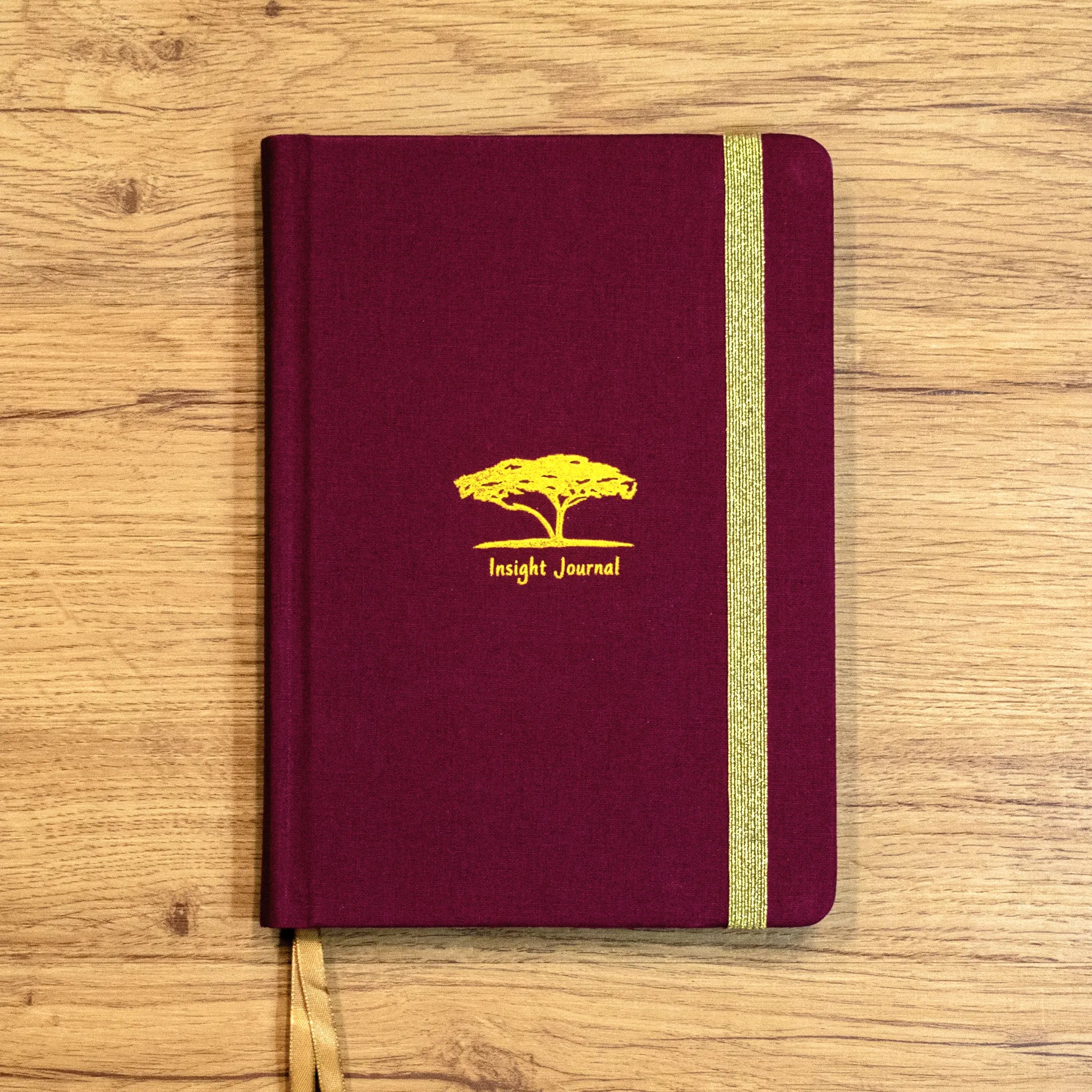 Insight Journal