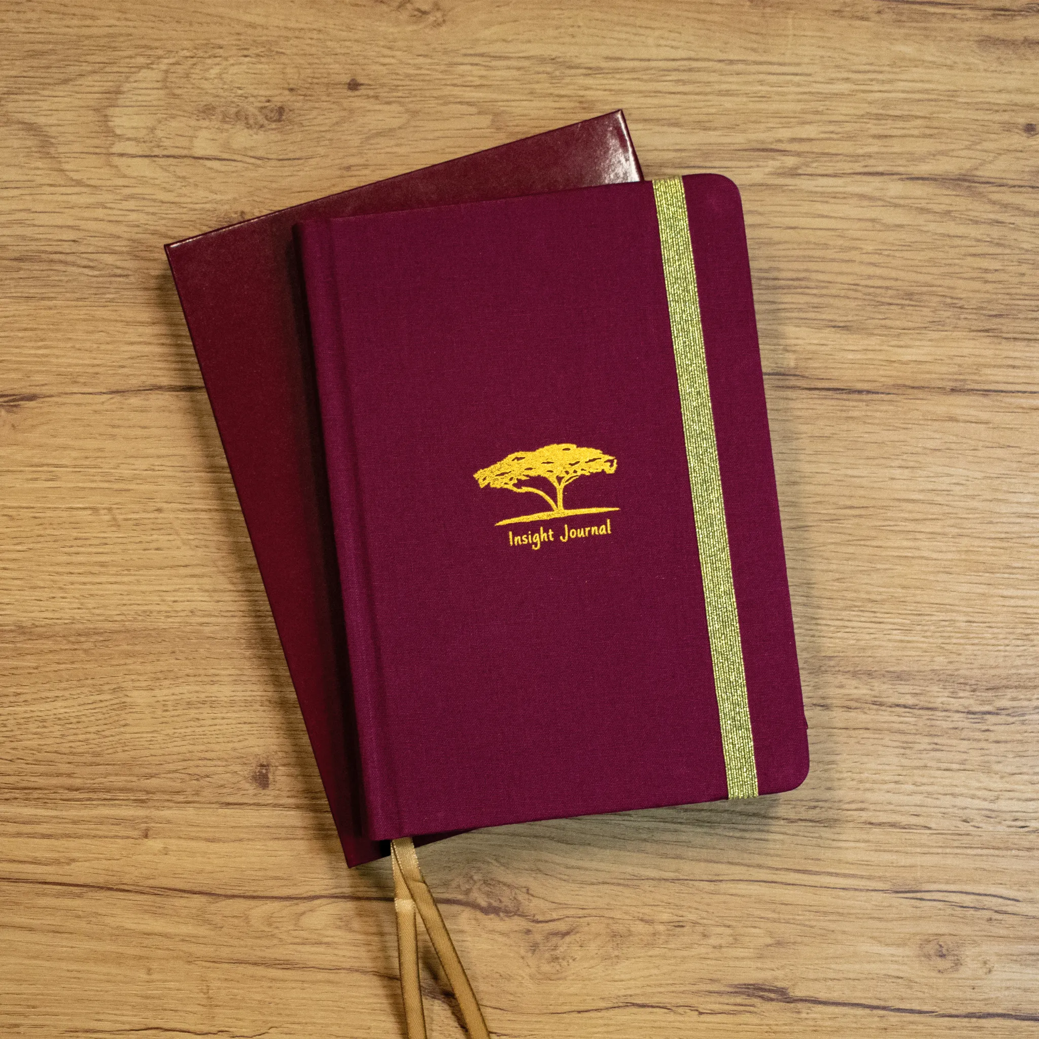Insight Journal - Image 2