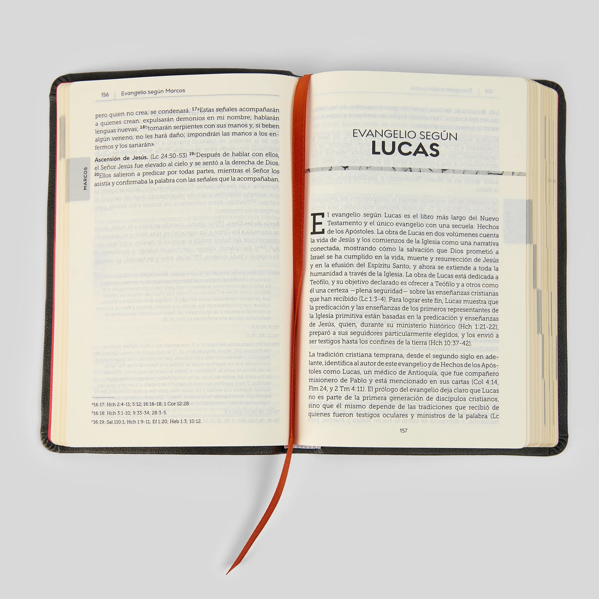La Biblia de la Iglesia en América: Nuevo Testamento - Image 11