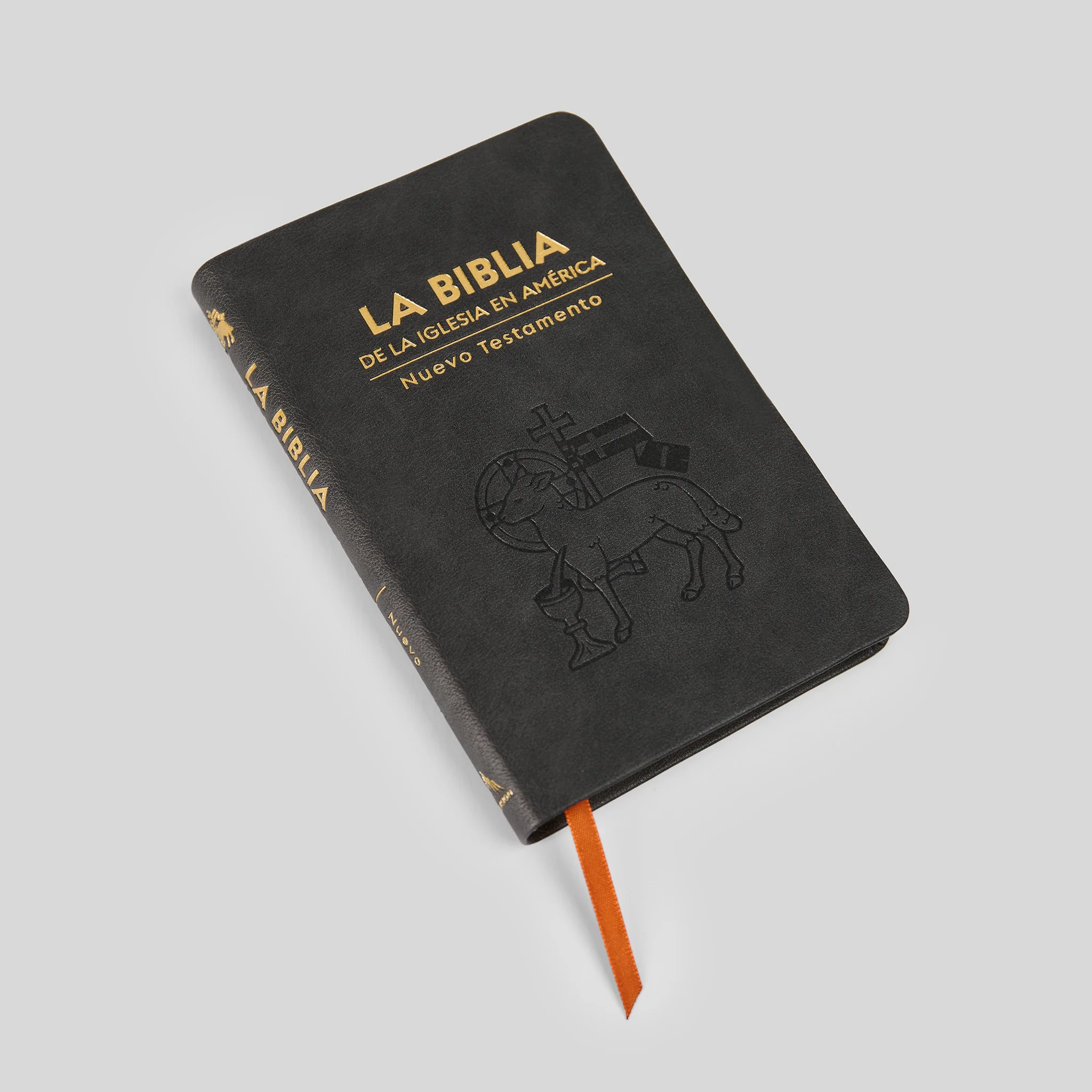La Biblia de la Iglesia en América: Nuevo Testamento - Image 12