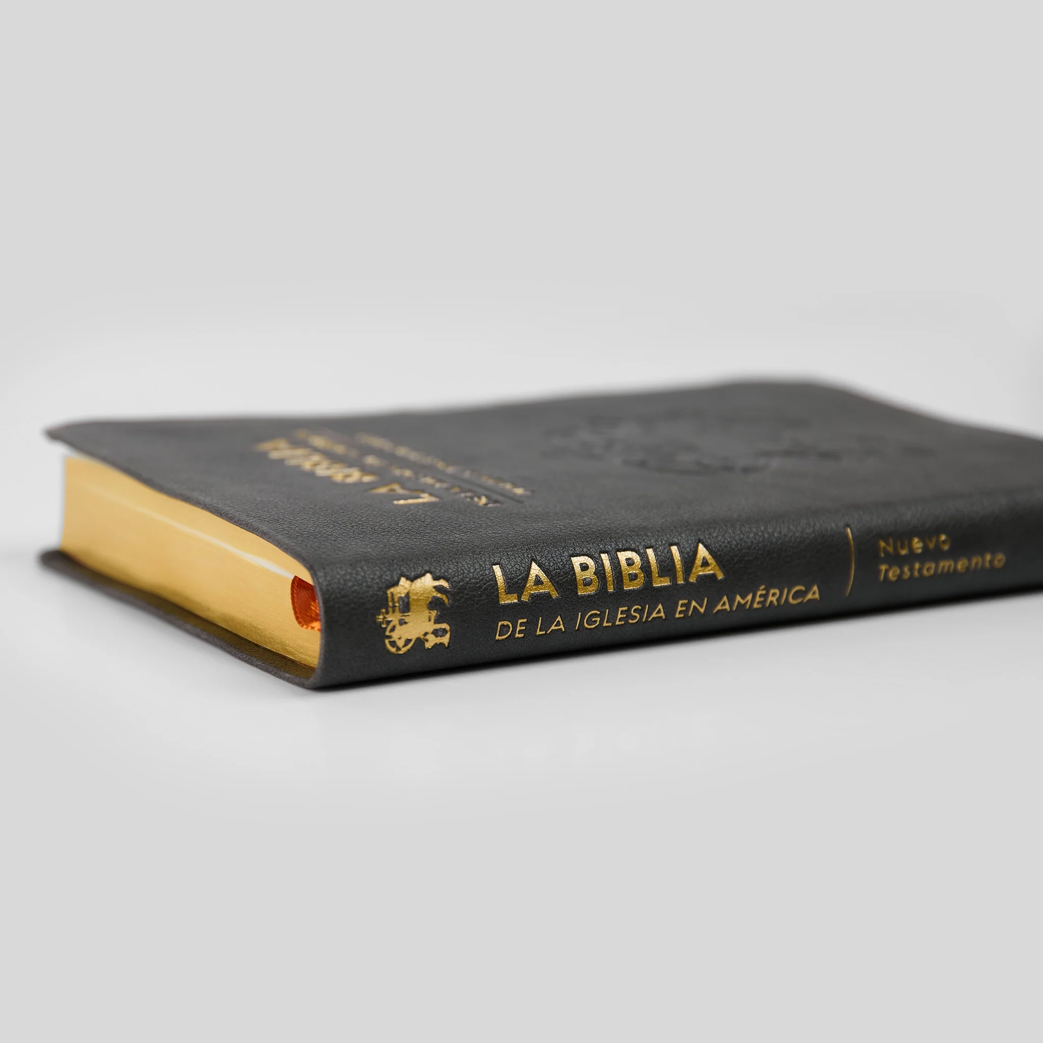 La Biblia de la Iglesia en América: Nuevo Testamento - Image 13