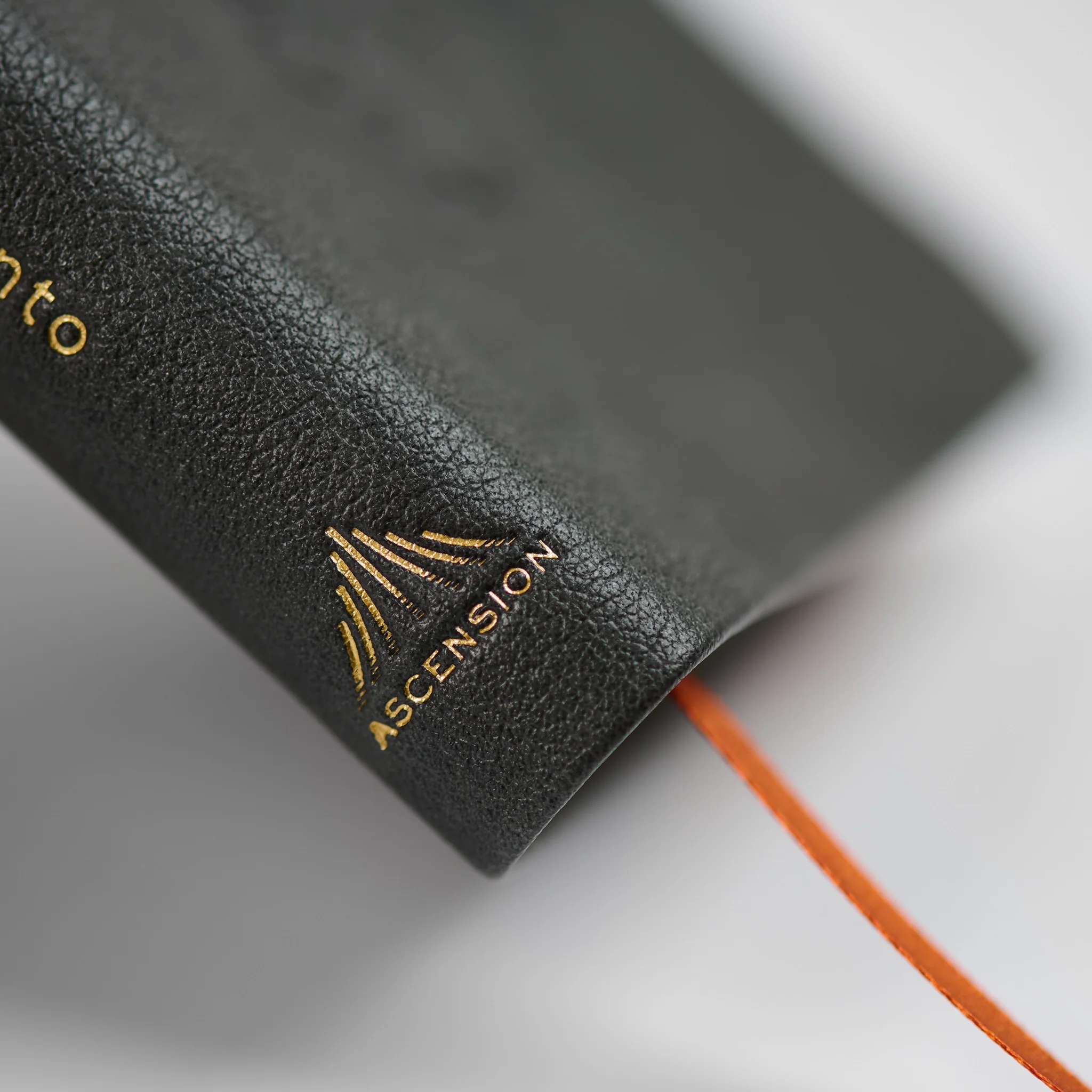 La Biblia de la Iglesia en América: Nuevo Testamento - Image 14