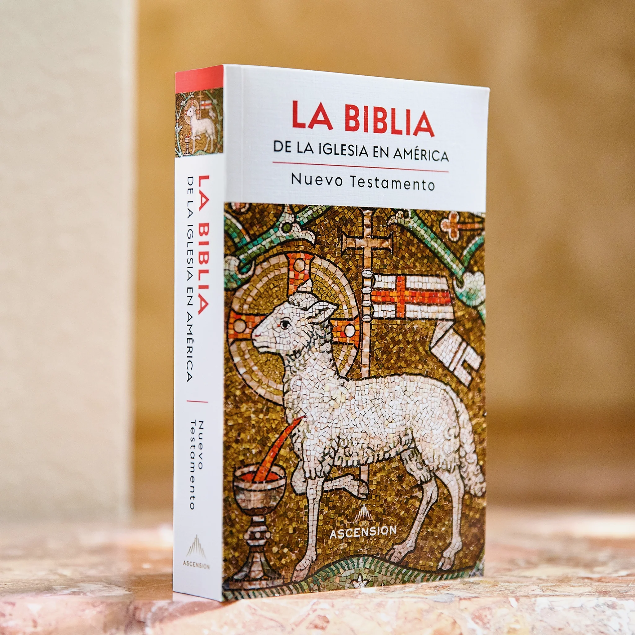 La Biblia de la Iglesia en América: Nuevo Testamento - Image 6