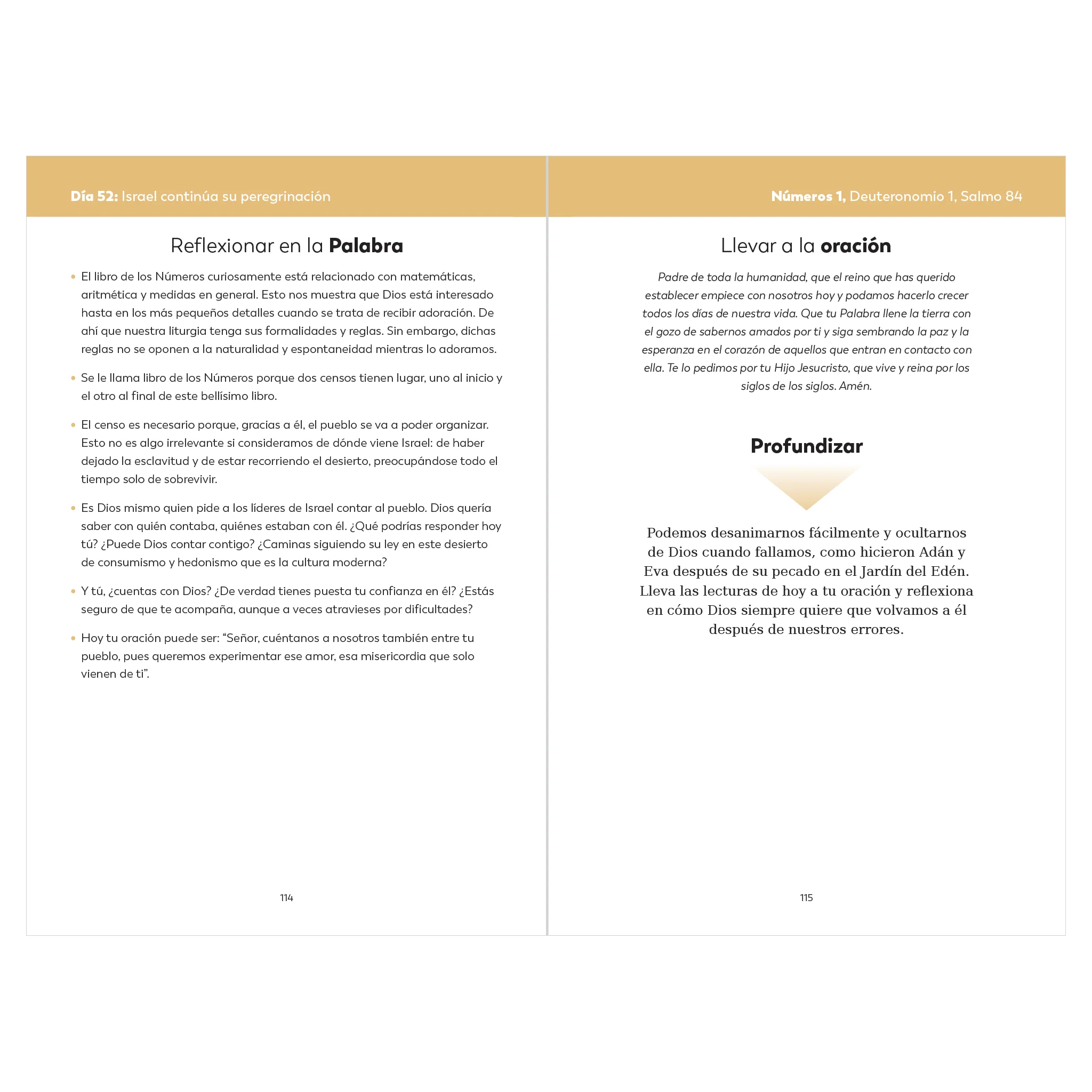 The Bible in a Year Companion, Volume I - Image 7