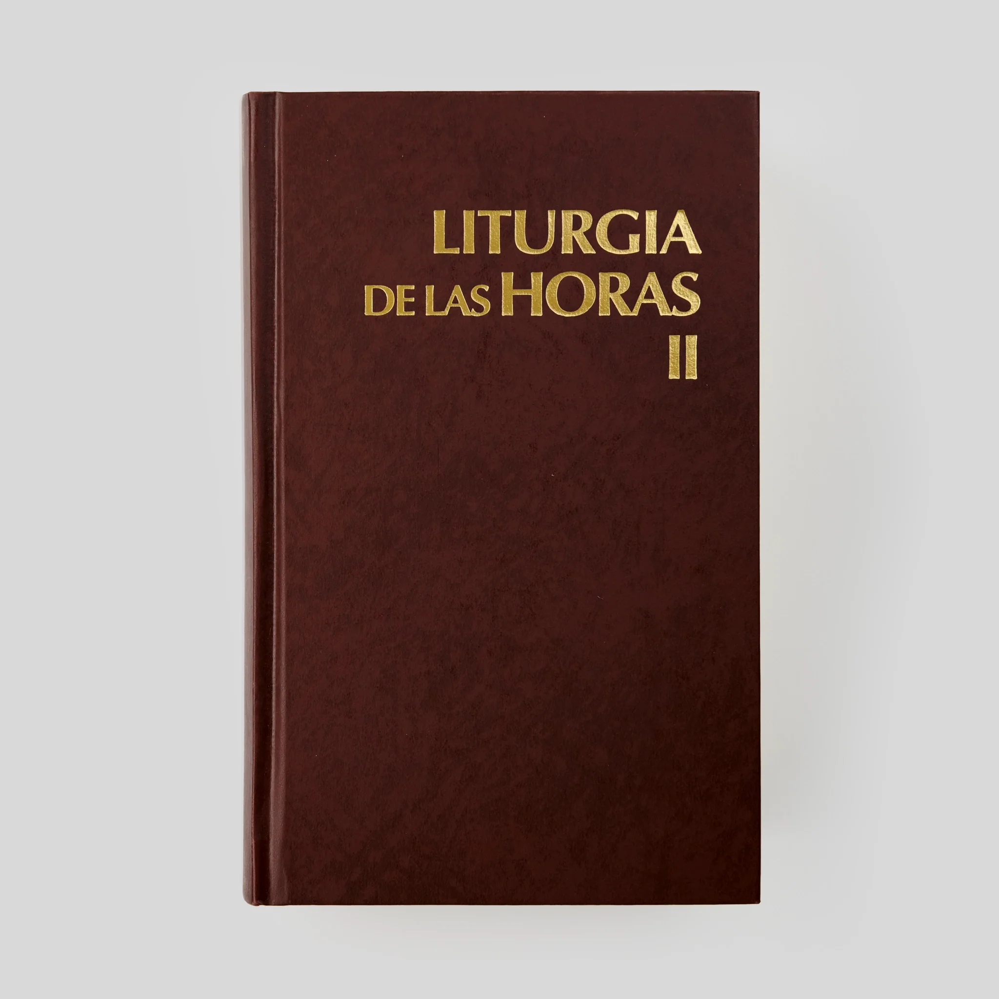 Liturgy of the Hours - Image 15
