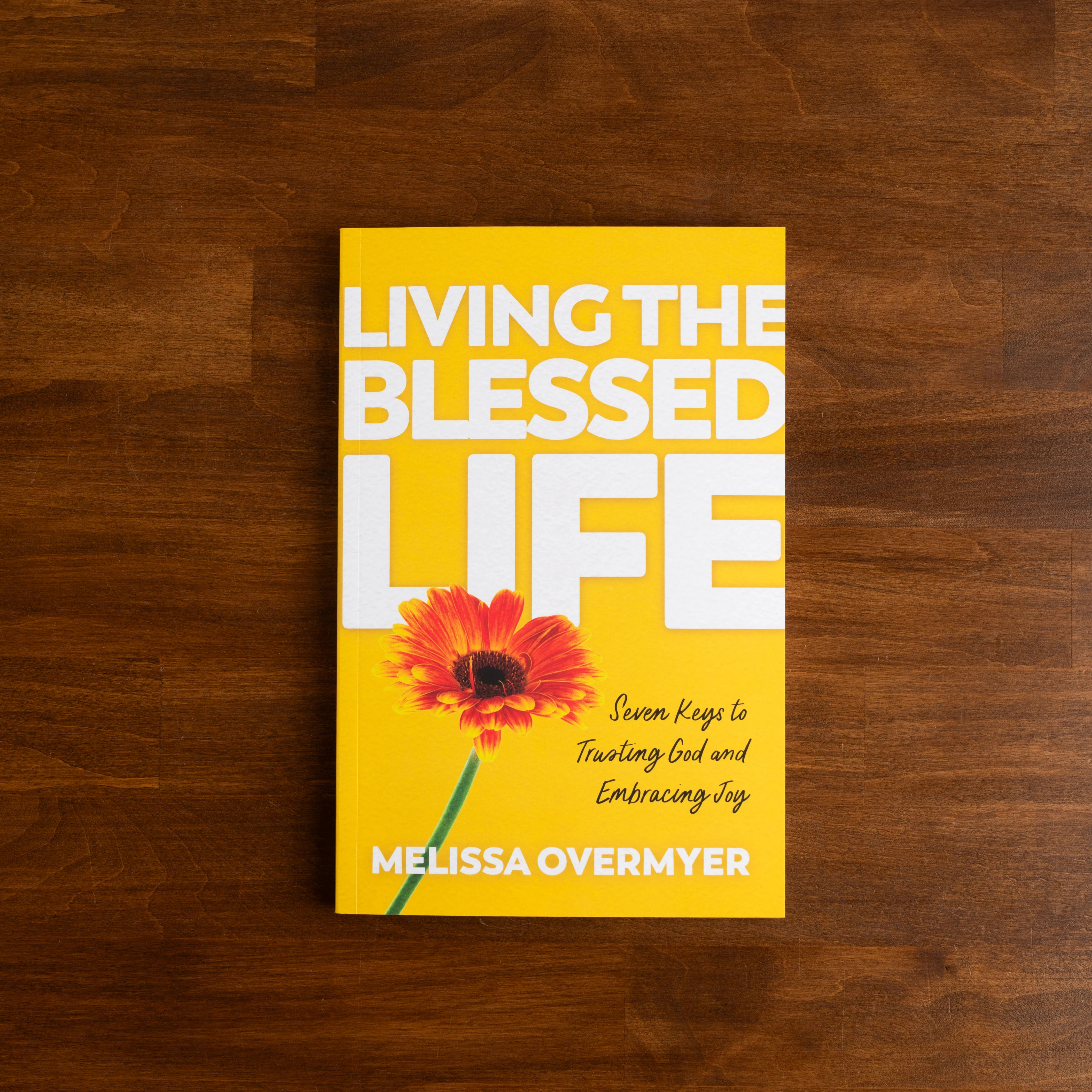 Living the Blessed Life: Seven Keys to Trusting God and Embracing Joy - Image 12