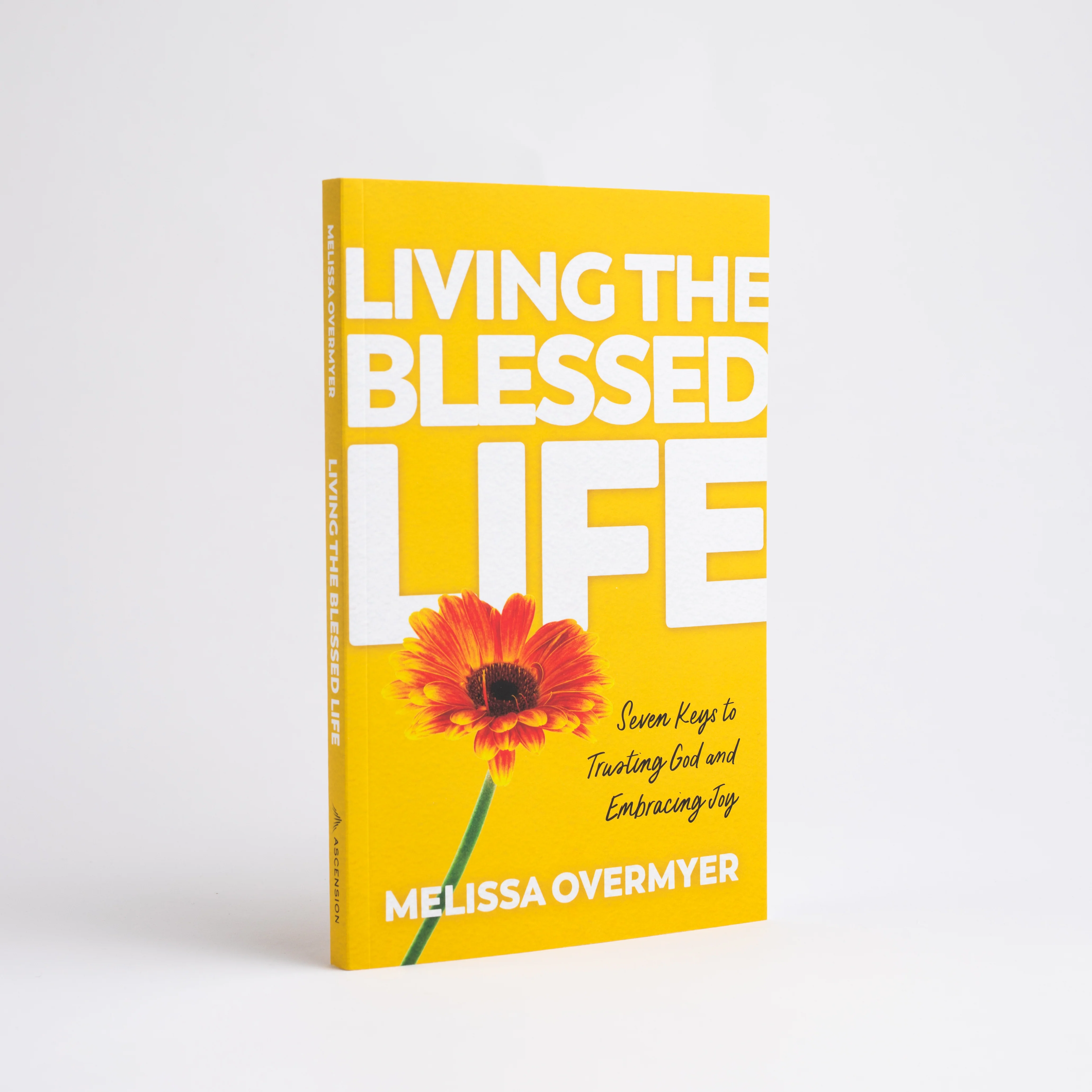 Living the Blessed Life: Seven Keys to Trusting God and Embracing Joy - Image 3