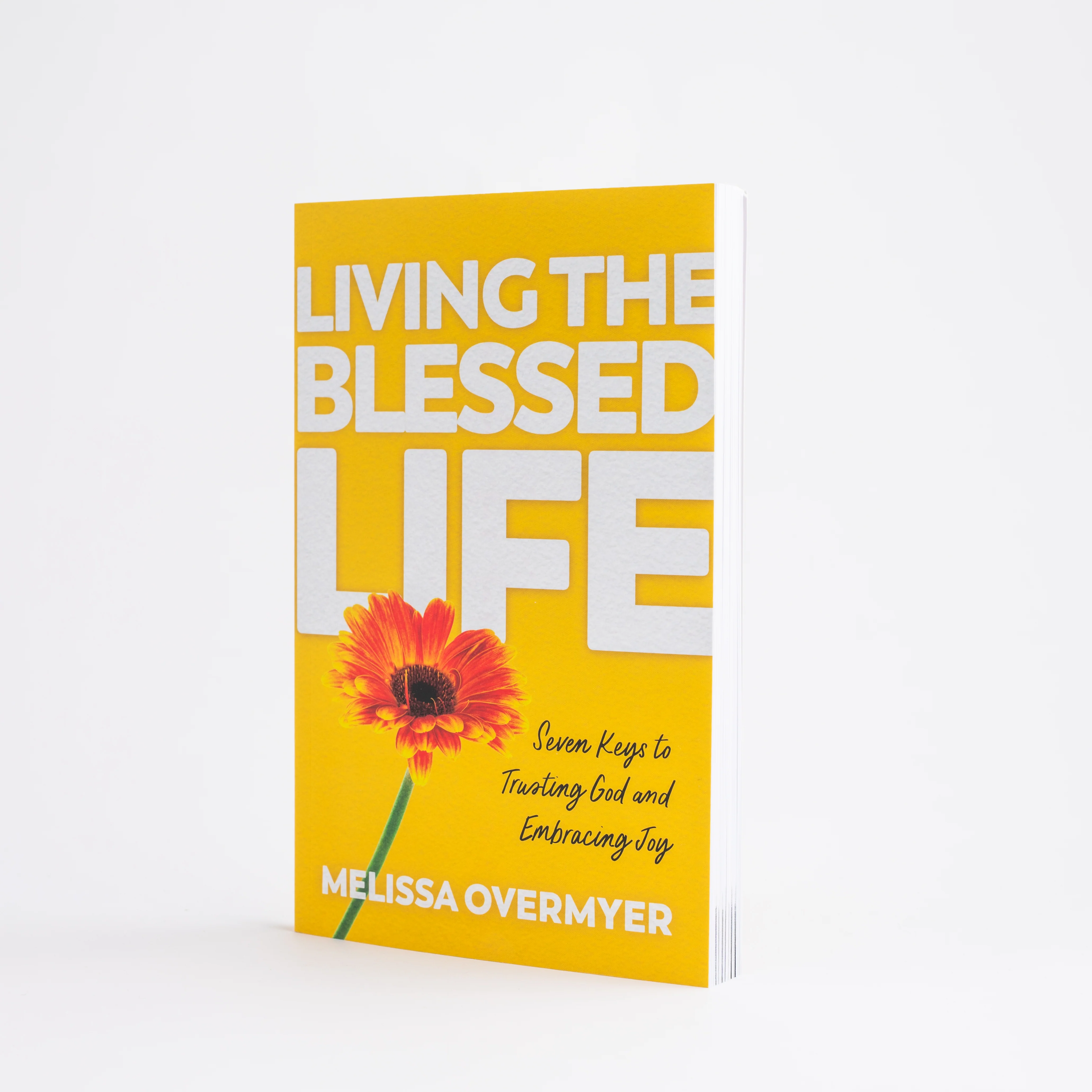 Living the Blessed Life: Seven Keys to Trusting God and Embracing Joy - Image 4