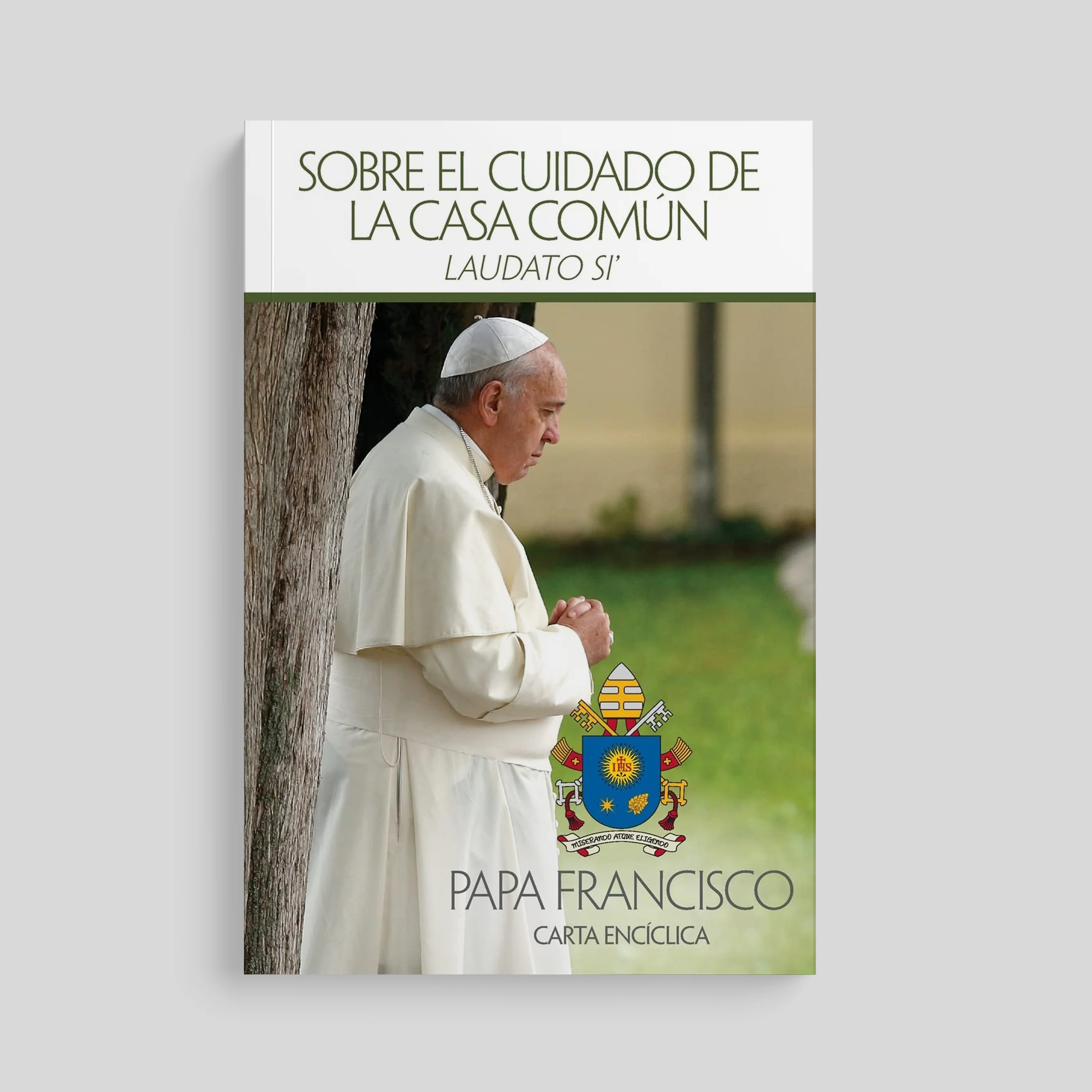 On Care for Our Common Home (Laudato Si) - Image 3
