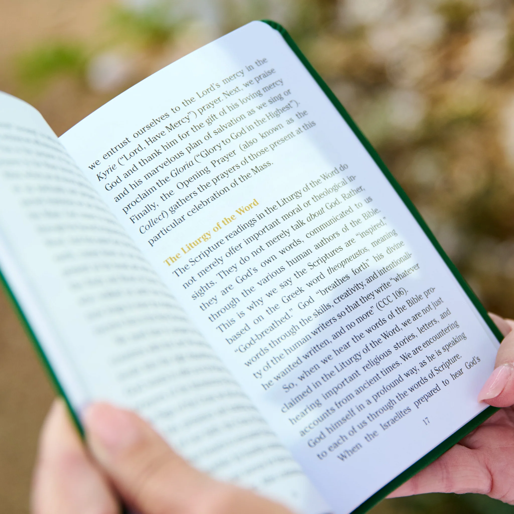 Pocket Guide to the Mass (Print) - Image 12