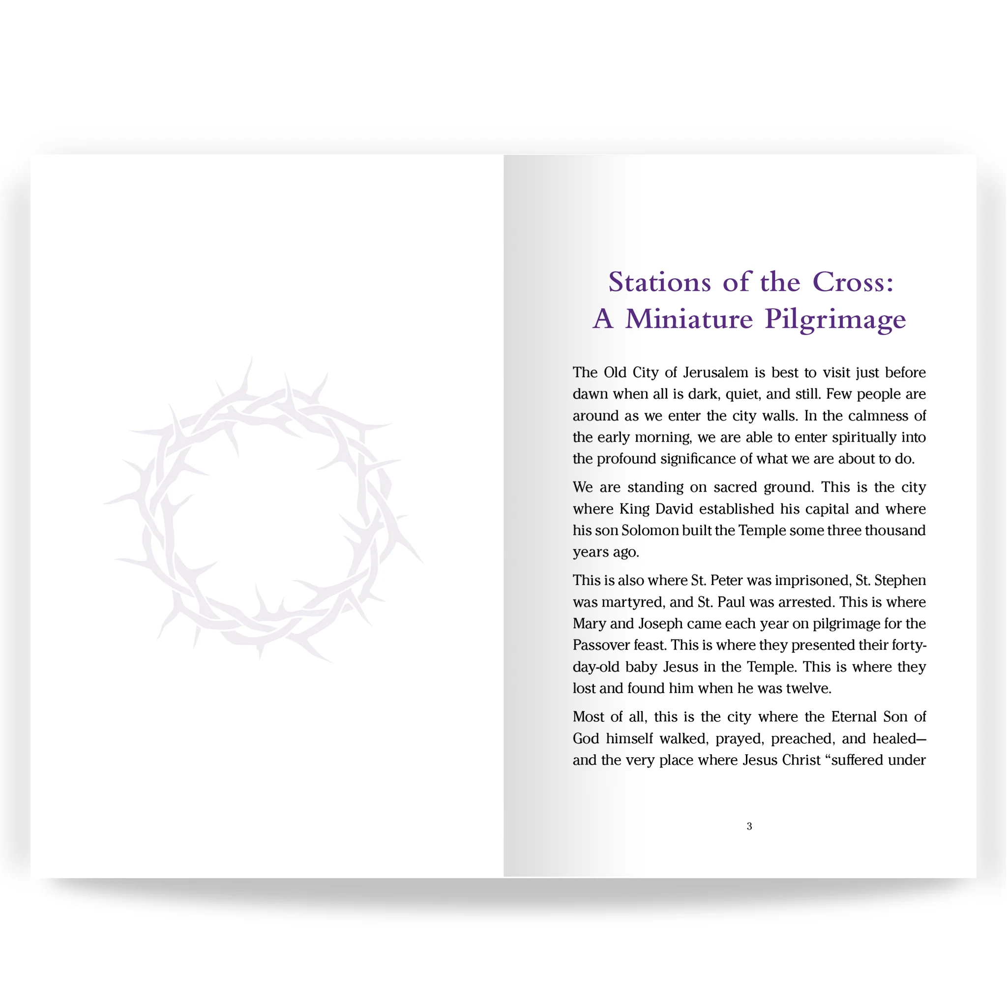 Pocket Guide to the Stations of the Cross - Image 8