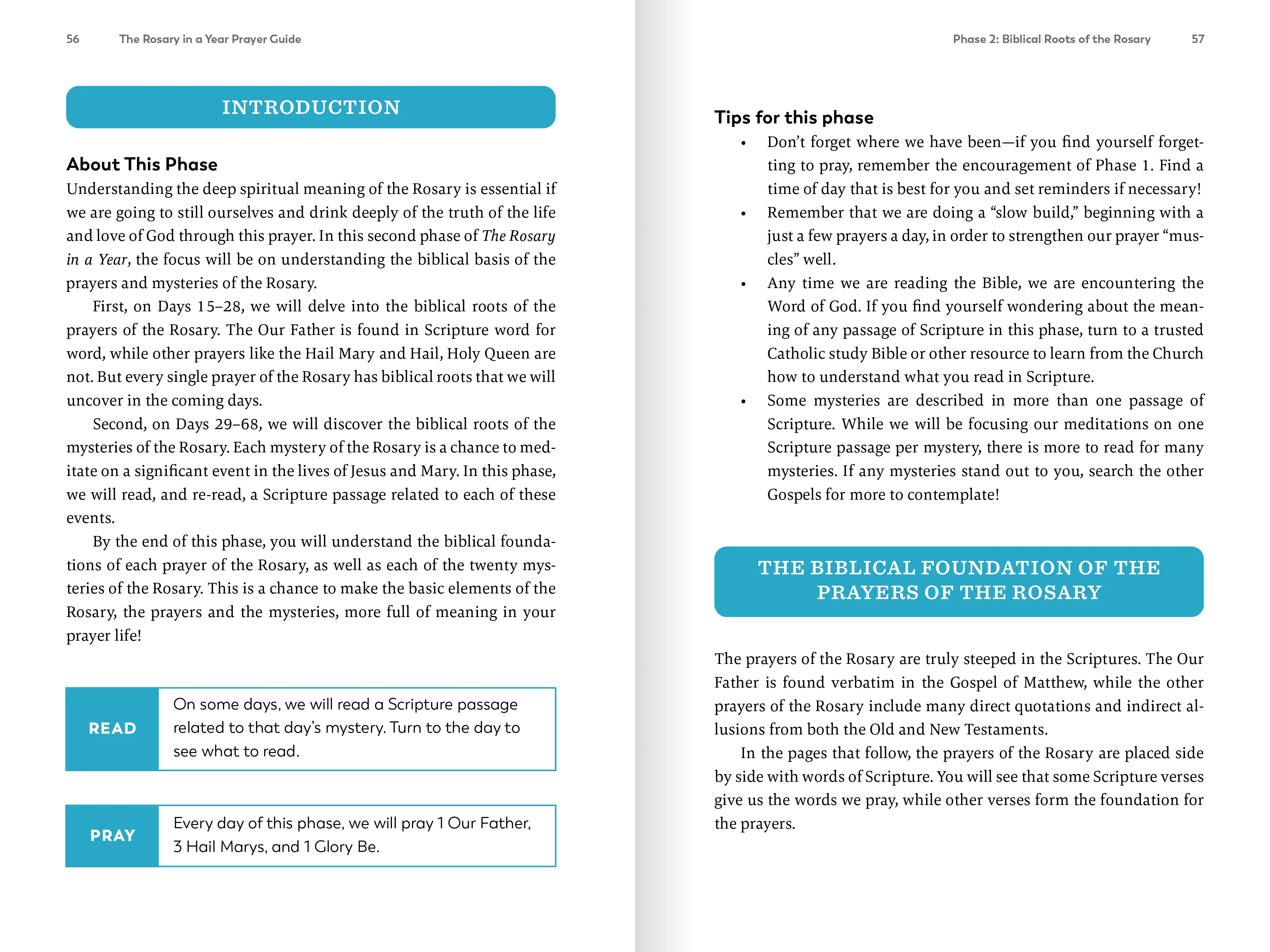 The Rosary in a Year Prayer Guide - Image 3