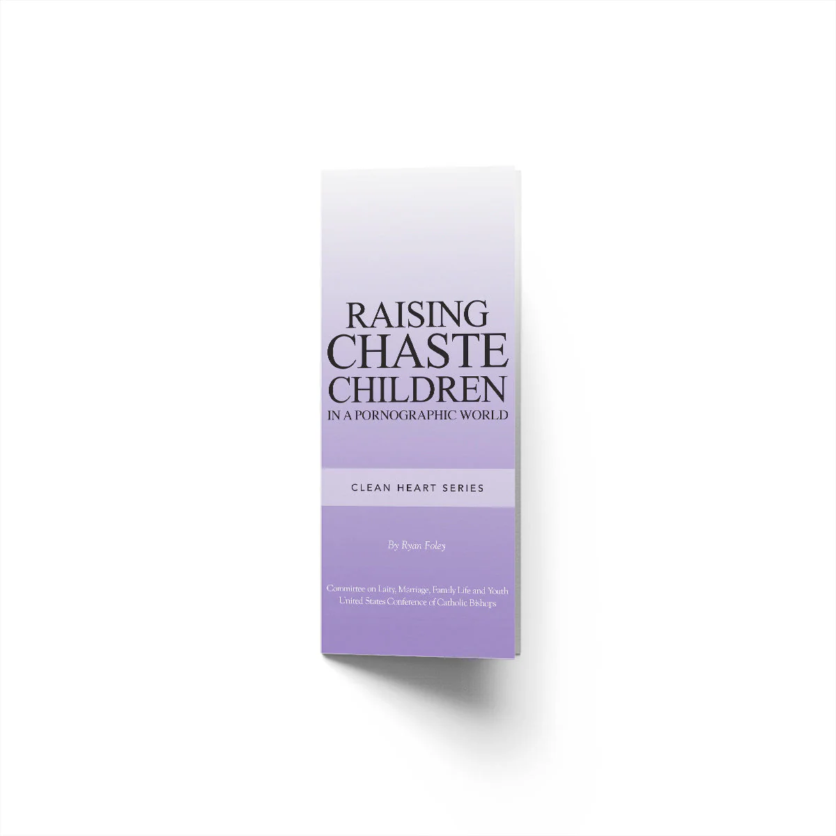 Raising Chaste Children in a Pornographic World