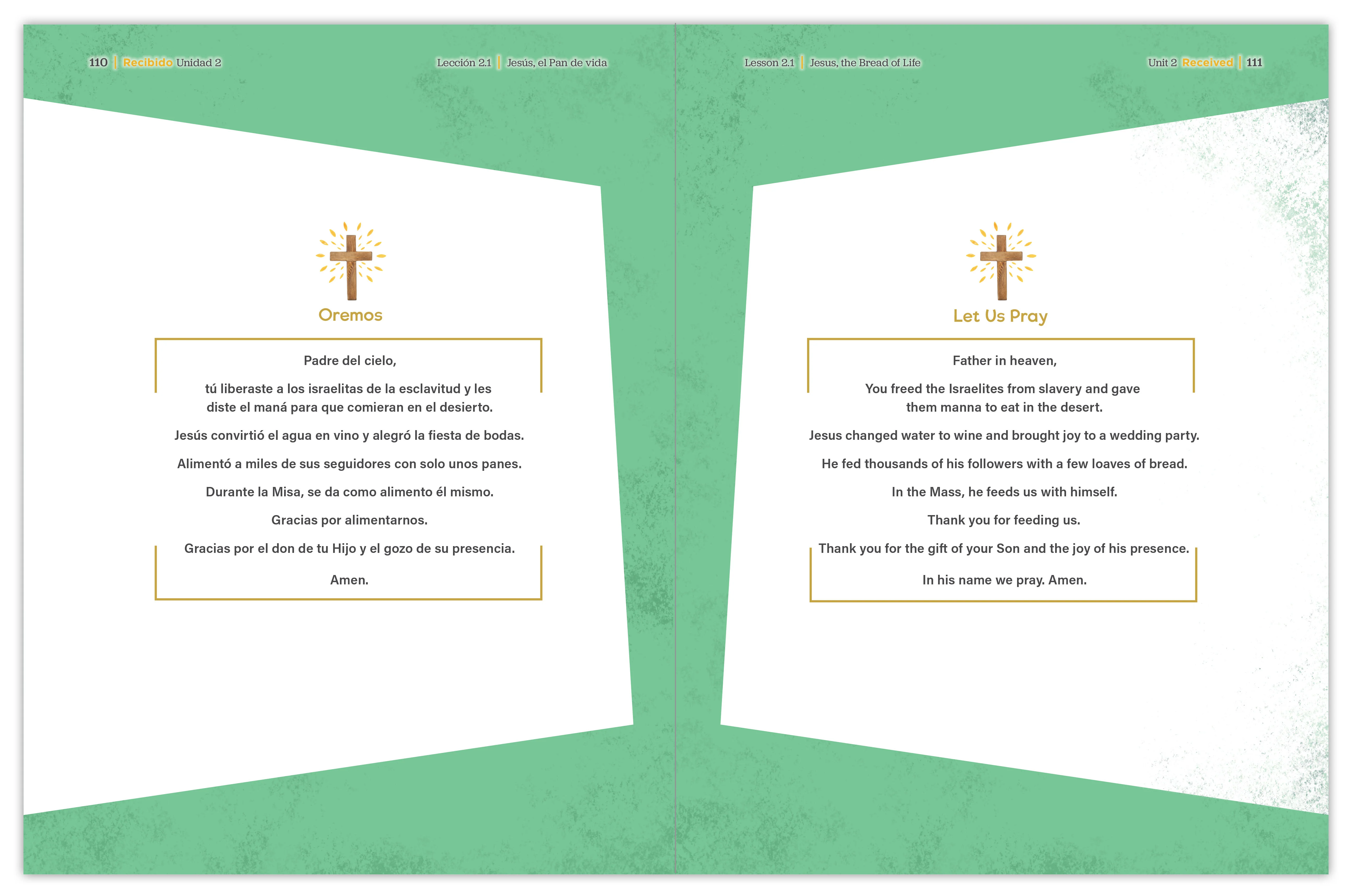 Received Second Edition: Your Journey to First Communion Student Workbook only - Image 16