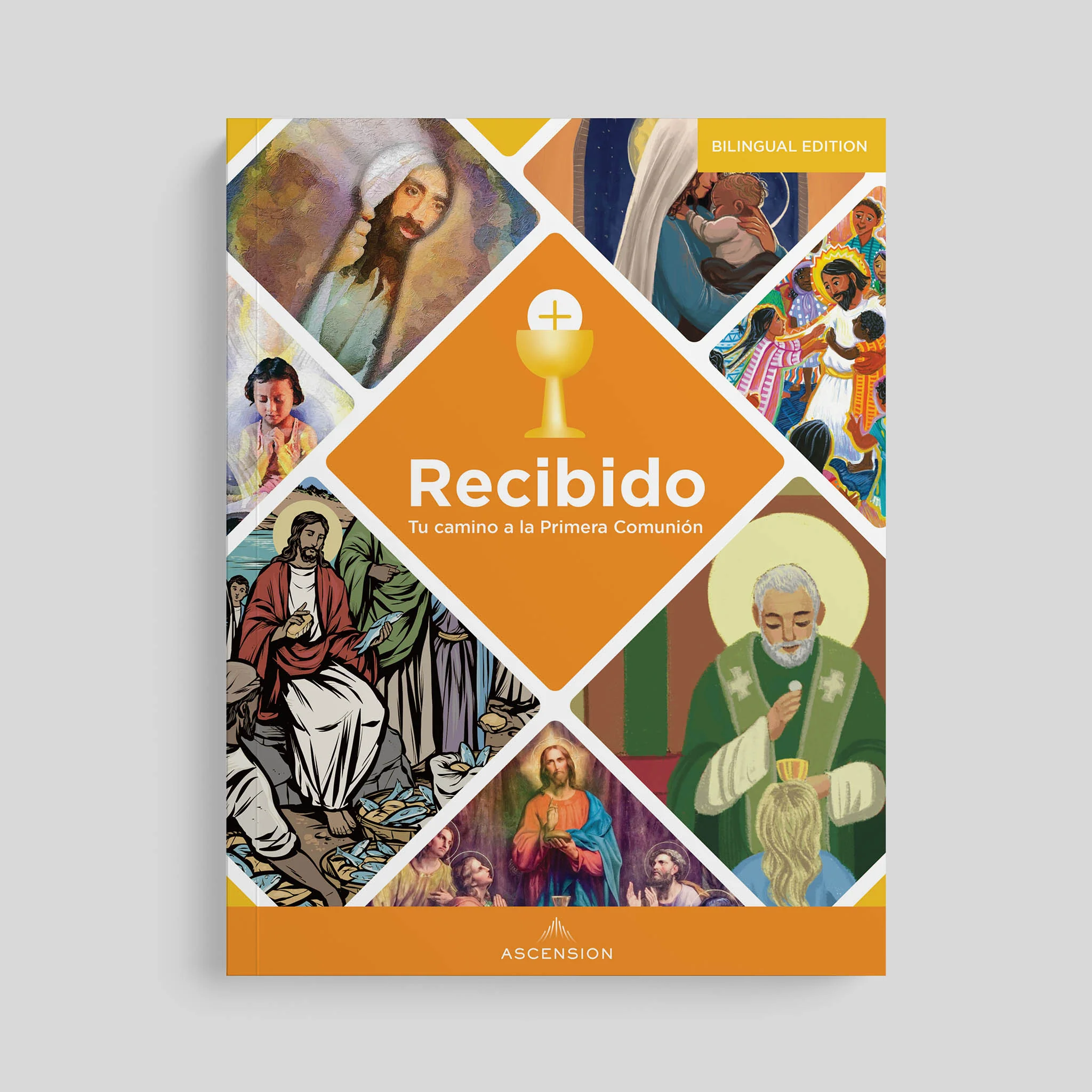 Received Second Edition: Your Journey to First Communion Student Workbook only - Image 3
