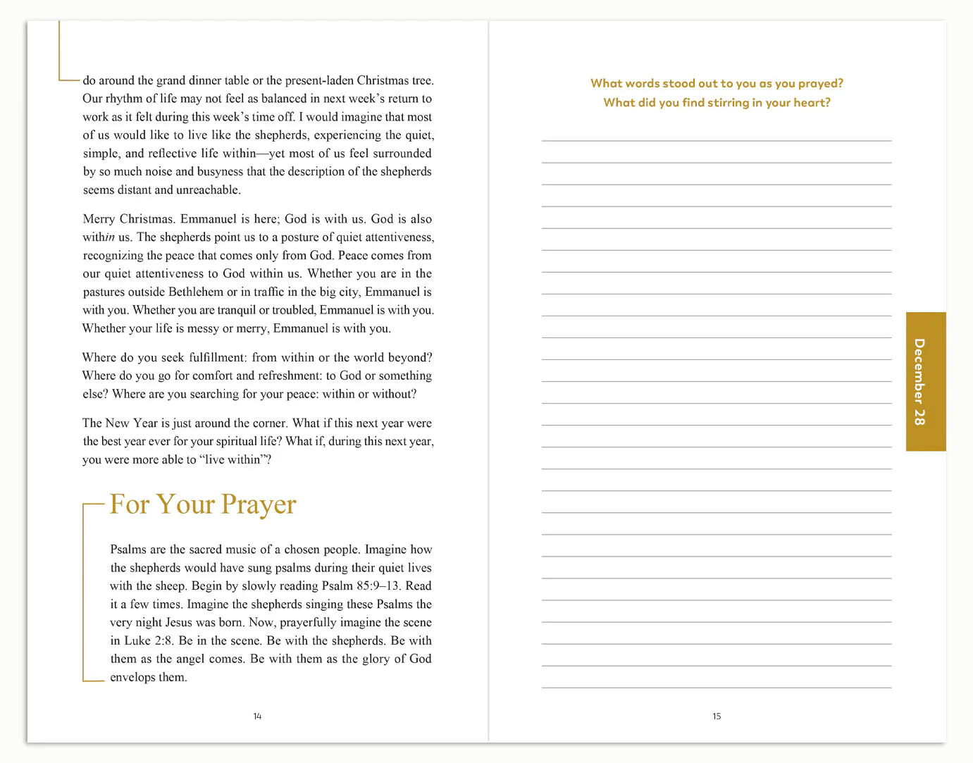 Rejoice and Be Glad, A Journey Through Christmas with the Holy Family, Starter Pack - Image 4