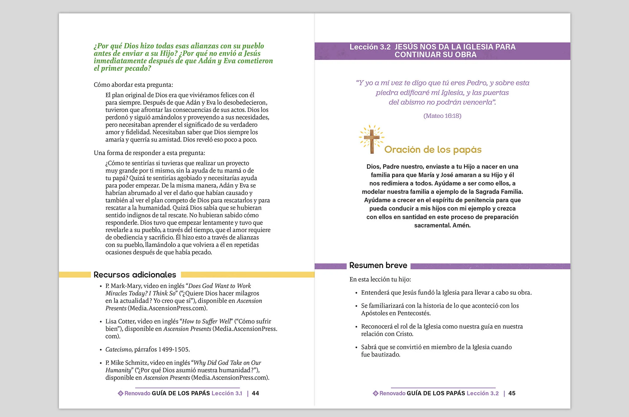 Renewed: Your Journey to First Reconciliation Parent's Guide - Image 6