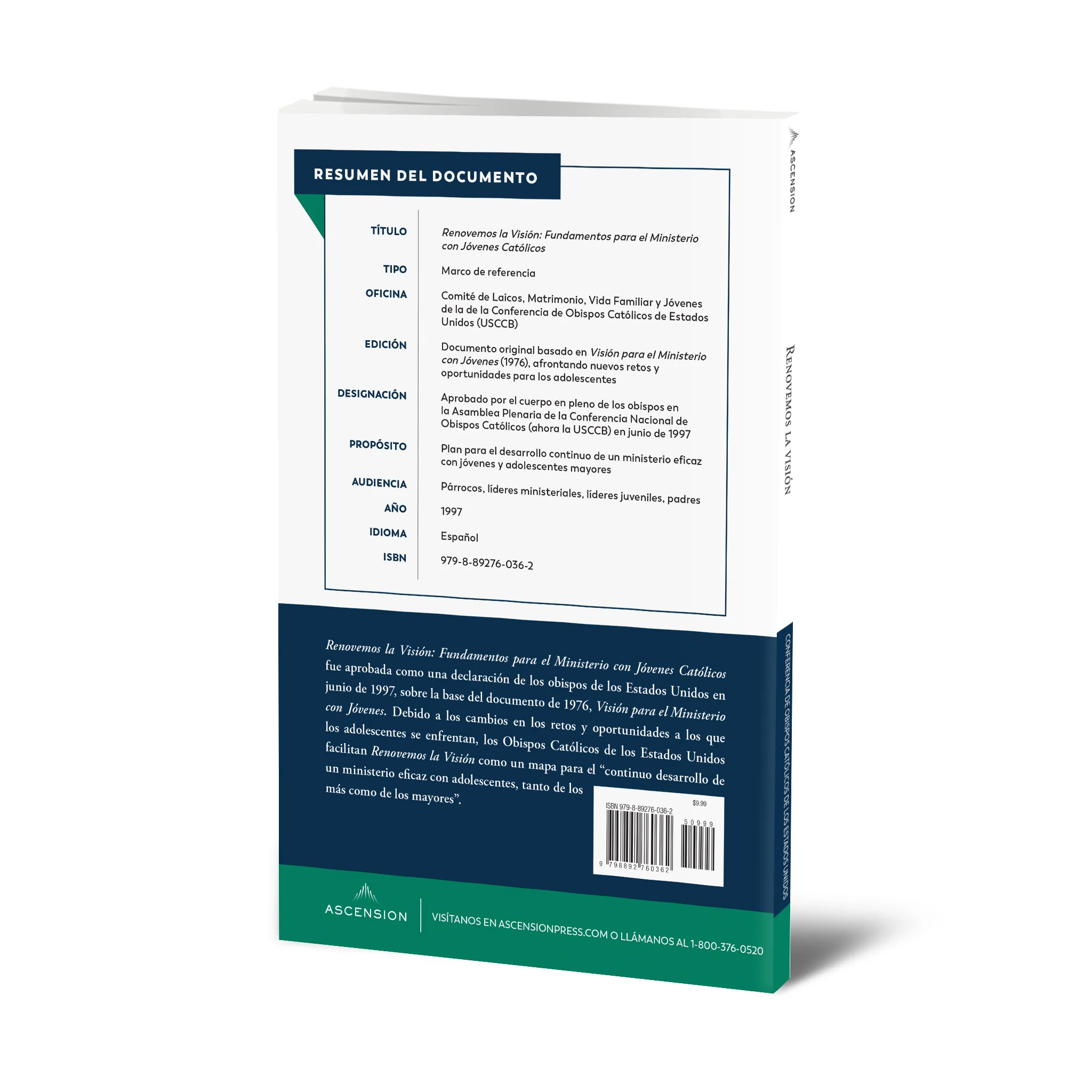 Renewing the Vision: A Framework for Catholic Youth Ministry - Image 12