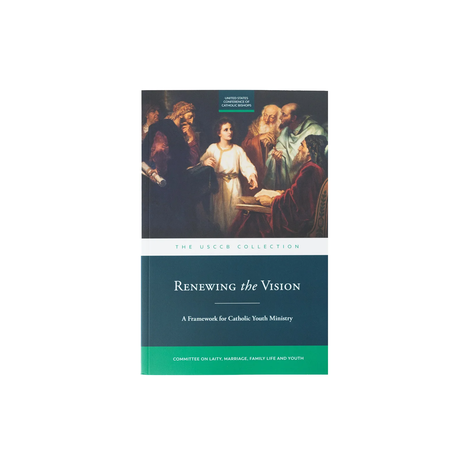 Renewing the Vision: A Framework for Catholic Youth Ministry - Image 3