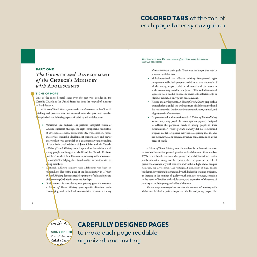Renewing the Vision: A Framework for Catholic Youth Ministry - Image 6