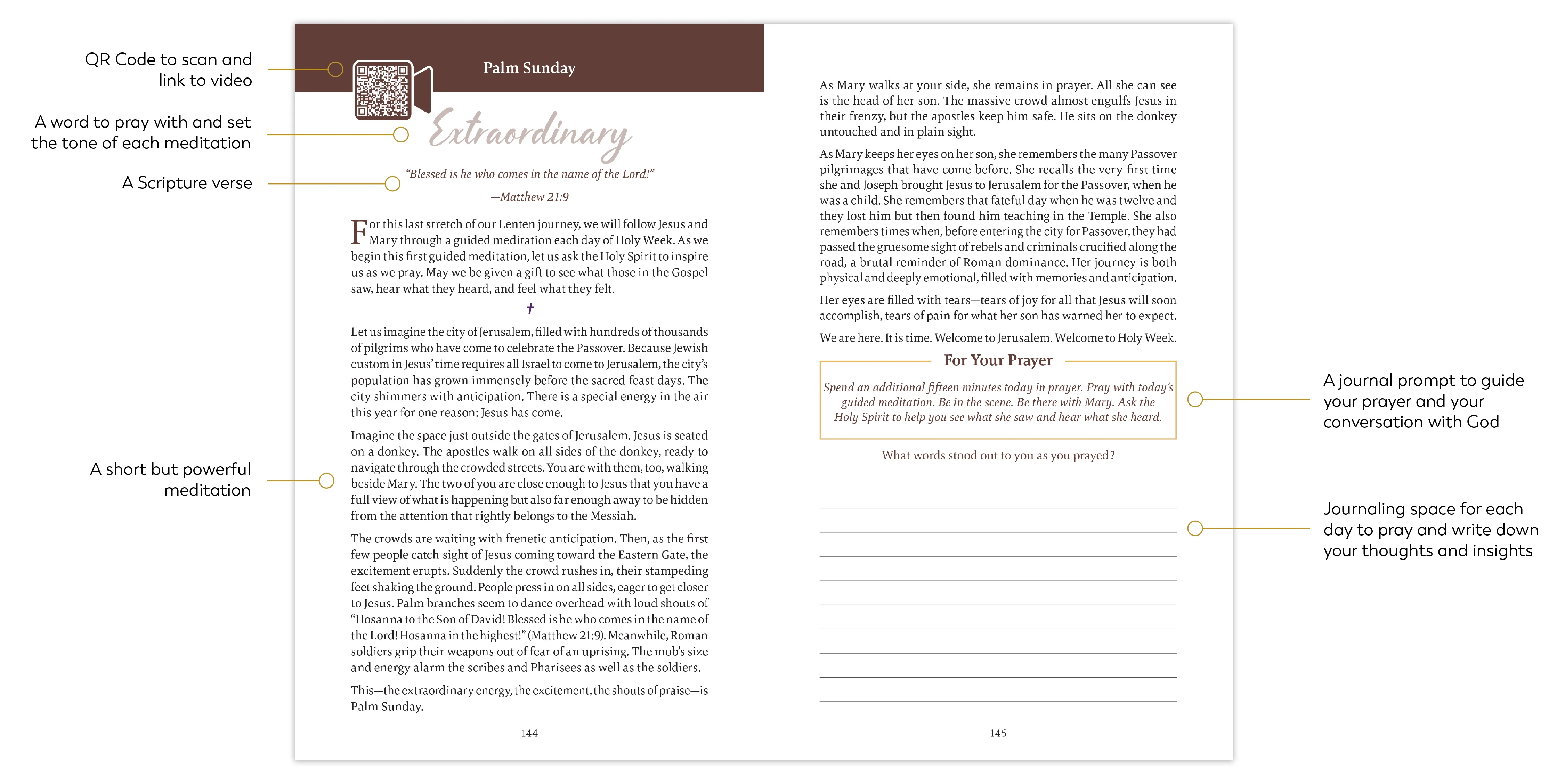 The Ascension Lenten Companion: Walking with Mary to Jerusalem, Starter Pack - Image 7
